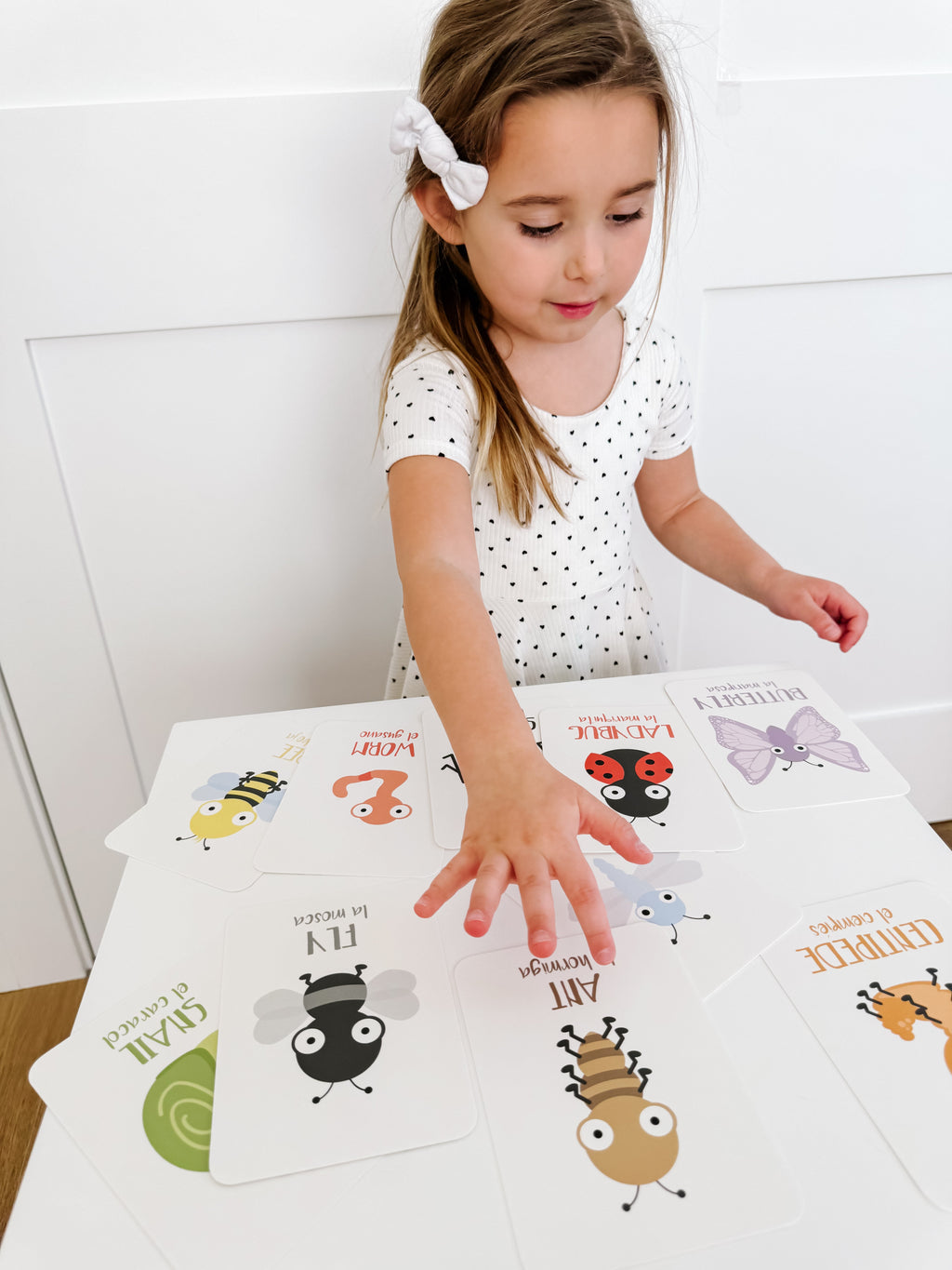 bugs-flashcards-Gift-Baby-Toys-32