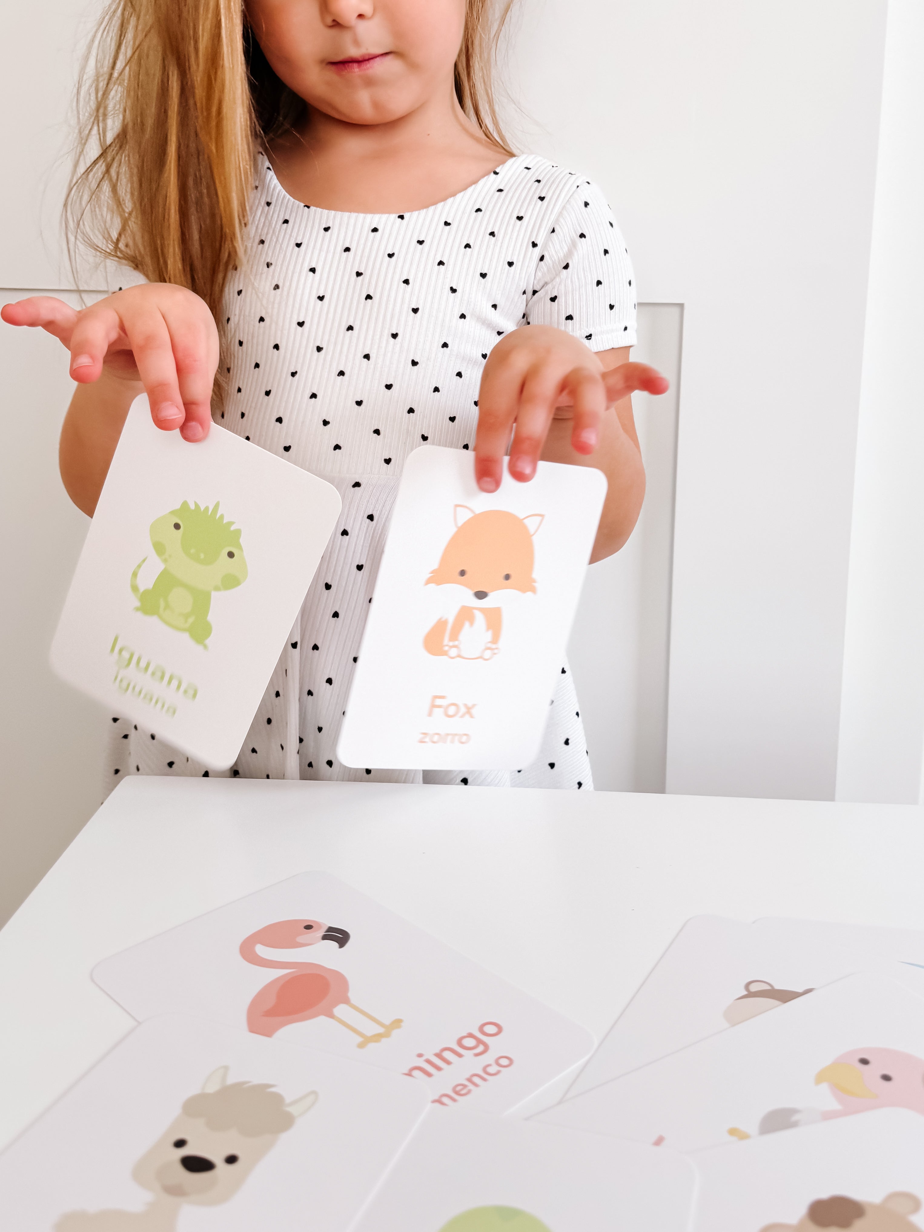 desert-animal-flashcards-Gift-Baby-Toys-8