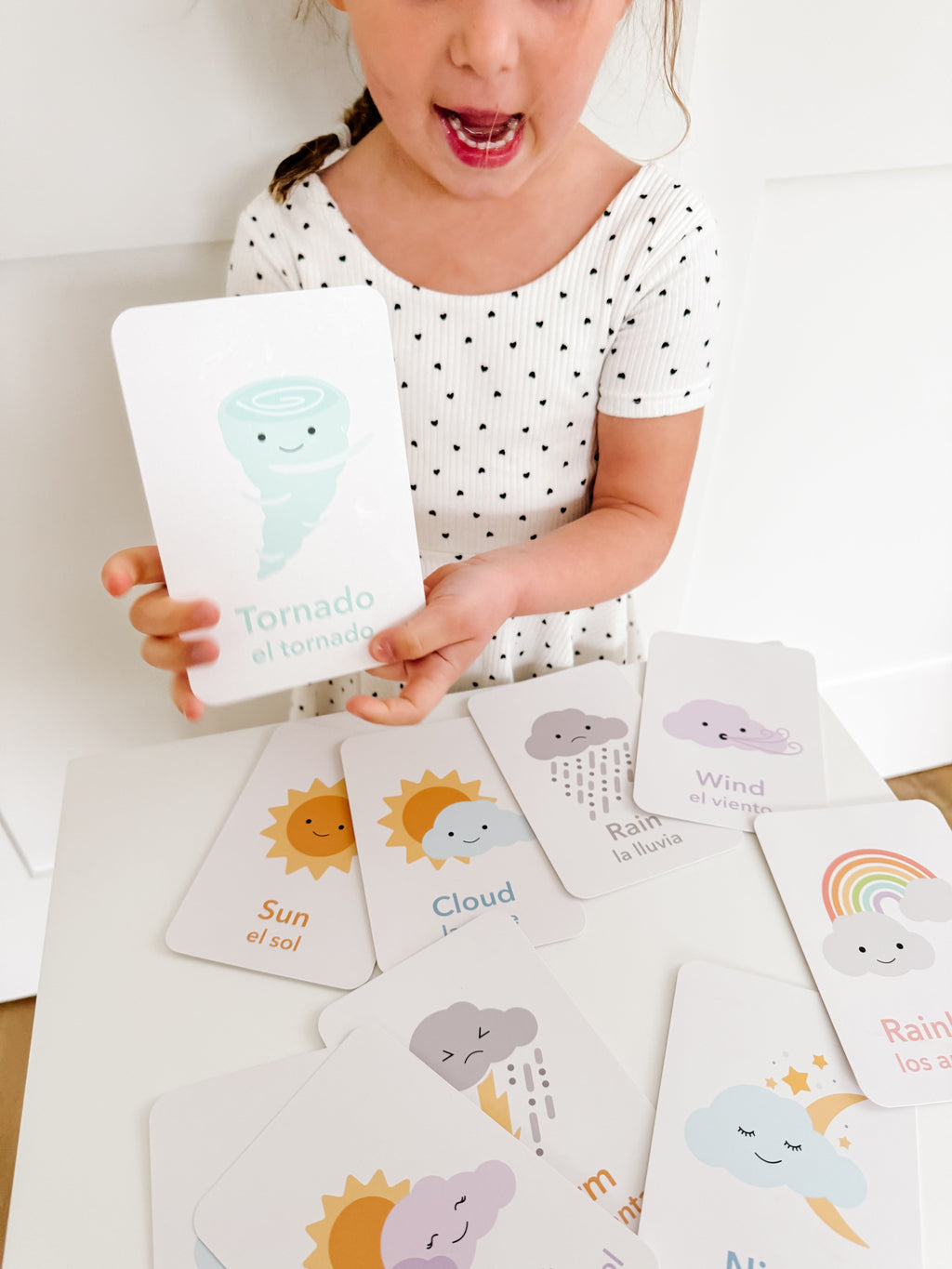 weather-flashcards-Gift-Baby-Toys-22