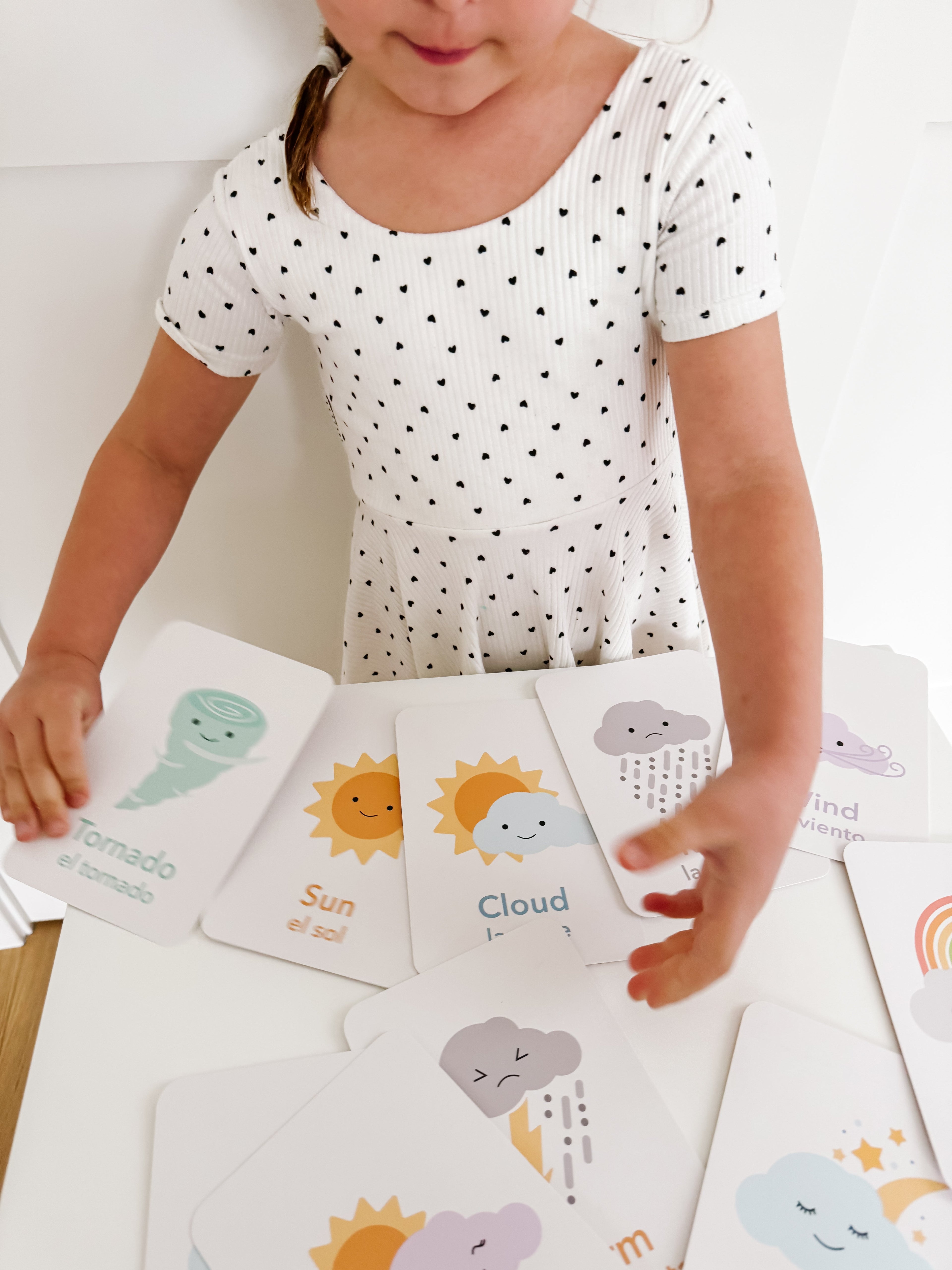 weather-flashcards-Gift-Baby-Toys-23
