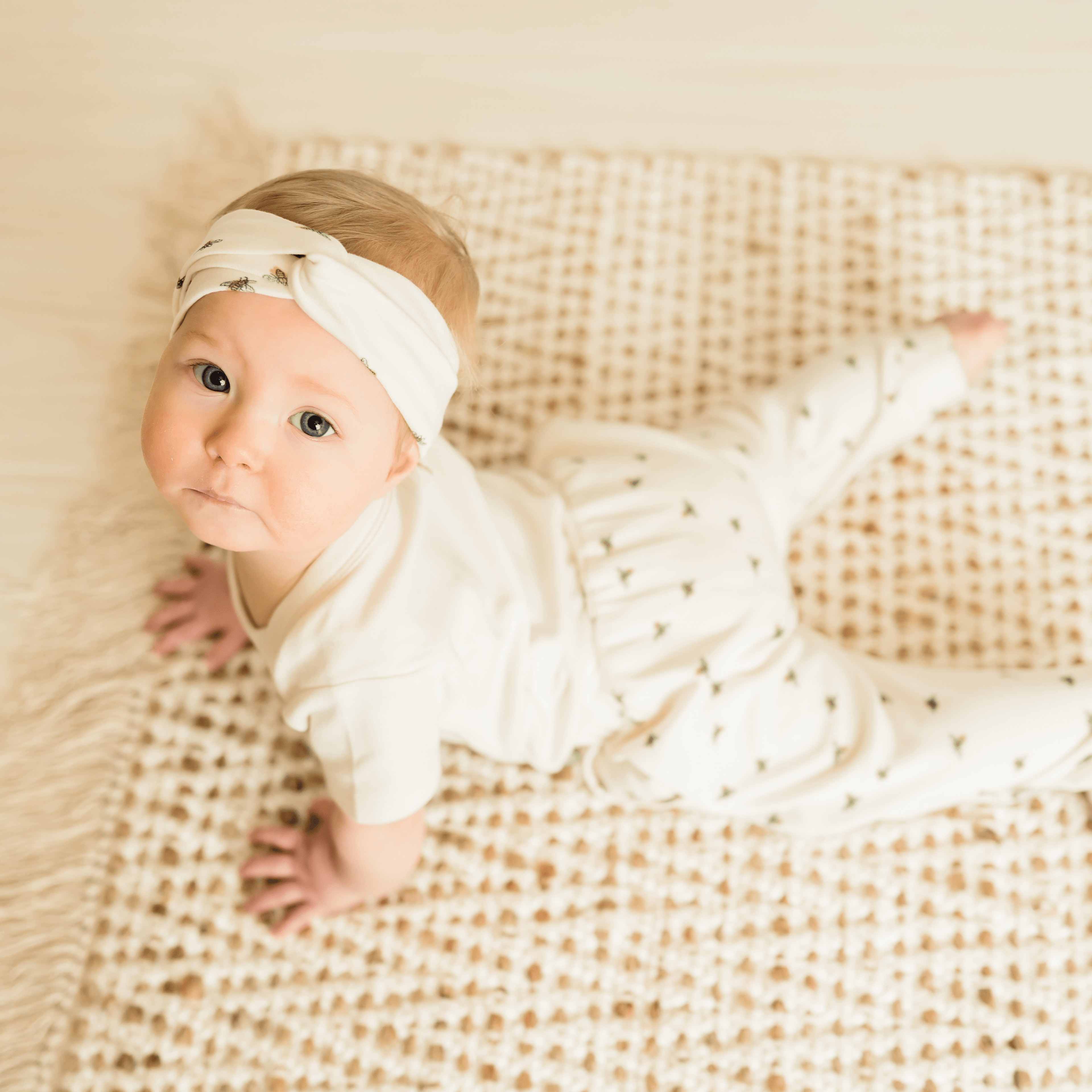 lounge-pants-busy-bees-Gift-Baby-Toys-4