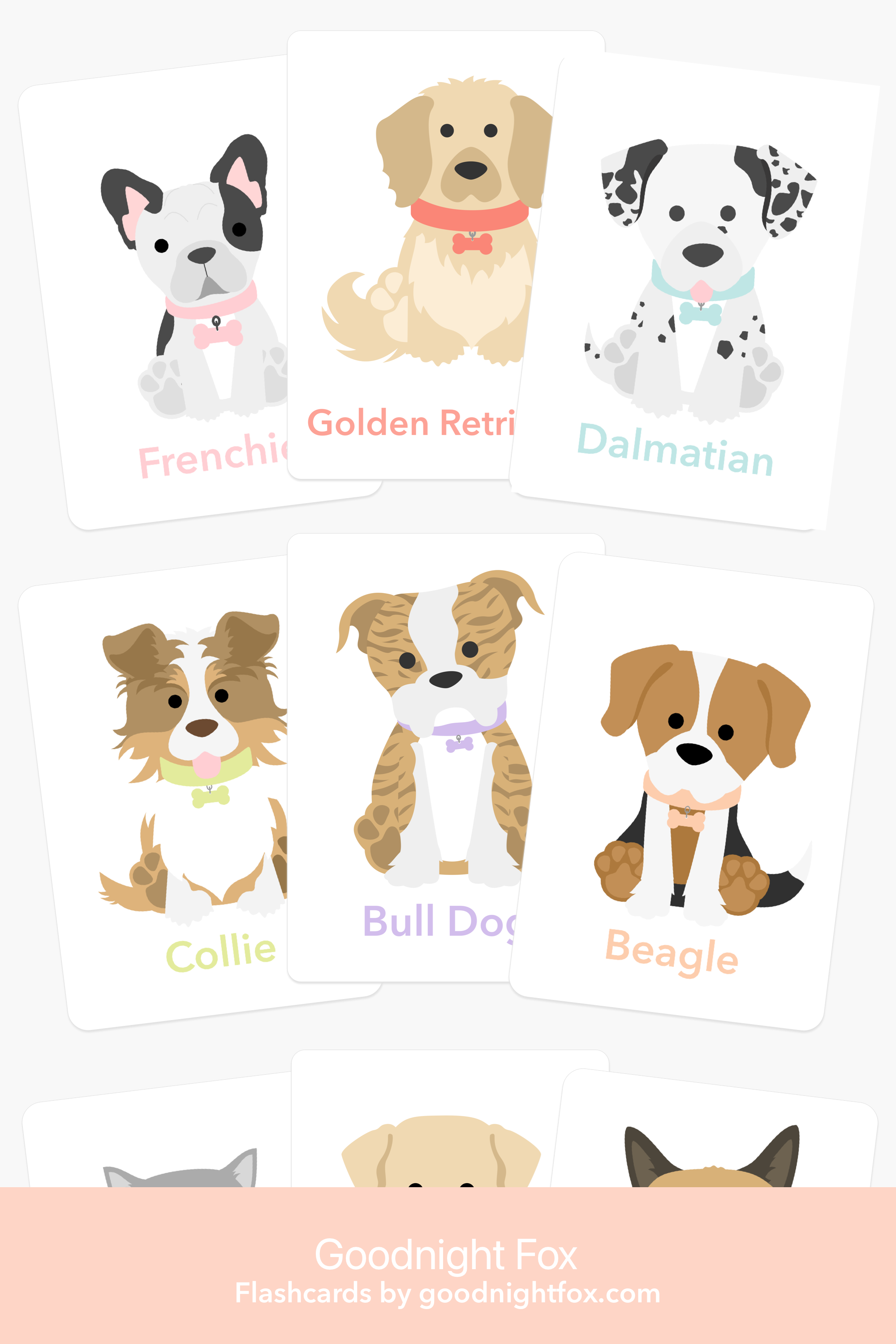 dog-breed-flash-cards-Gift-Baby-Toys-1