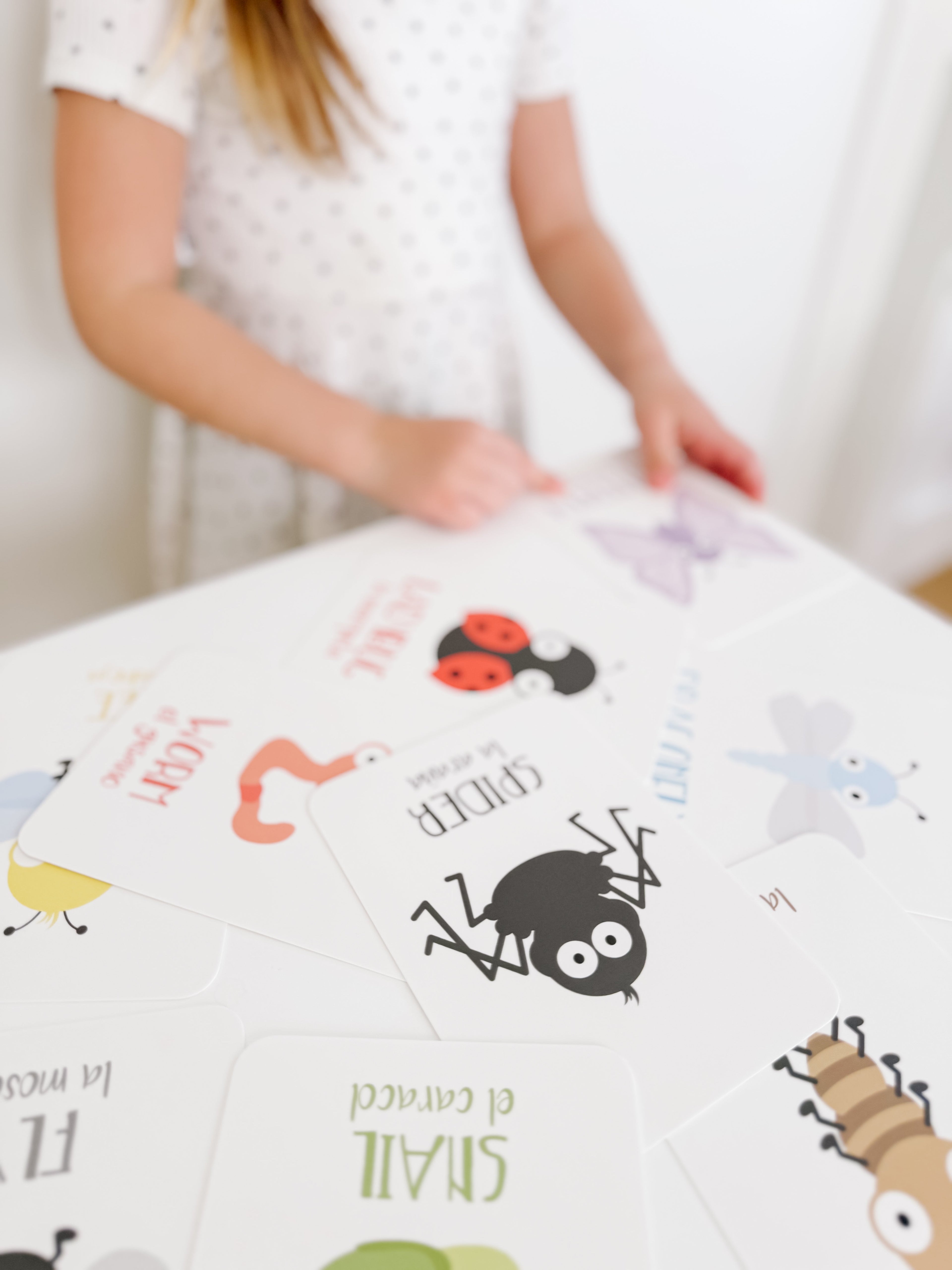 bugs-flashcards-Gift-Baby-Toys-16