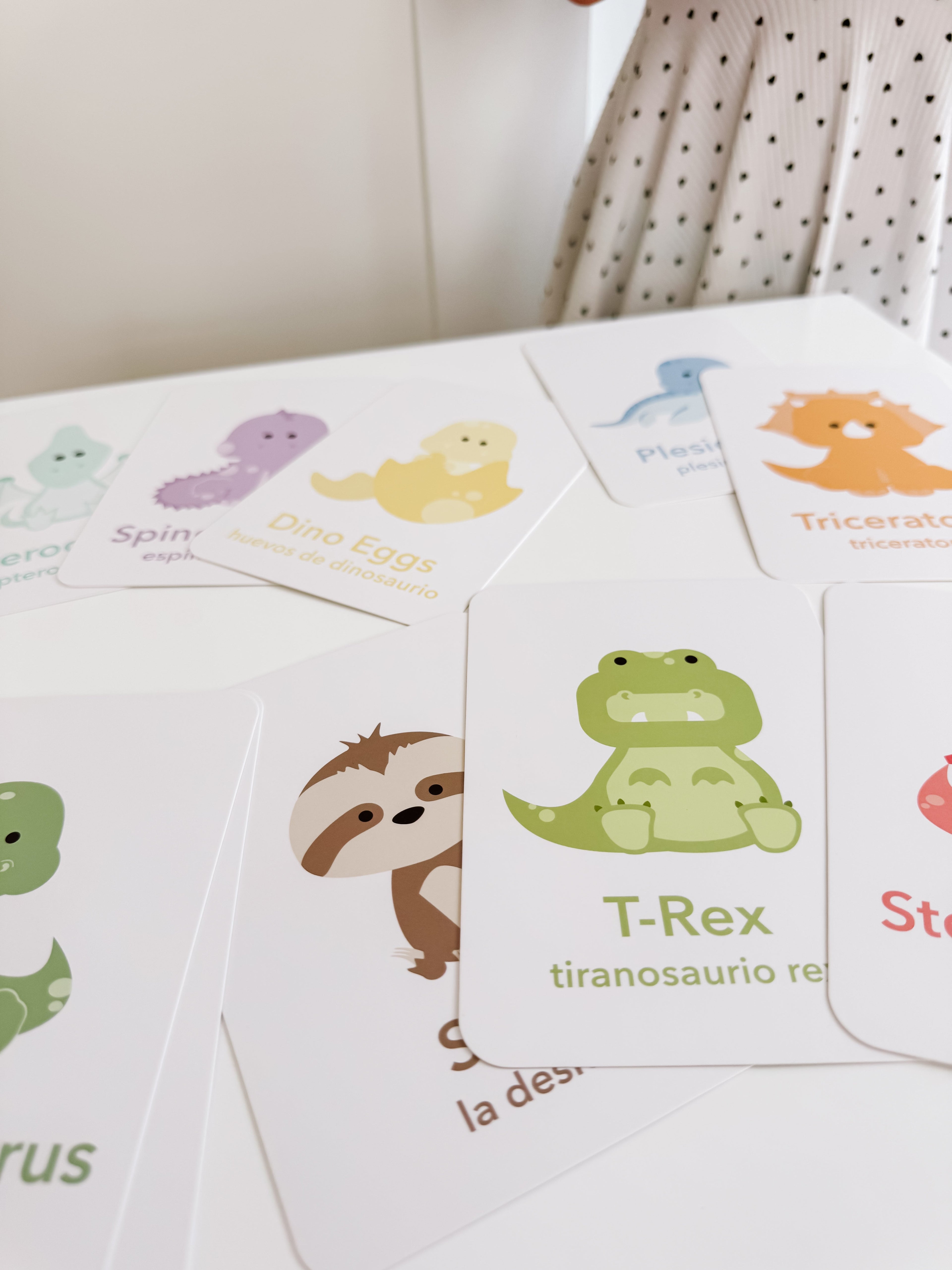 dinosaur-flashcards-Gift-Baby-Toys-17