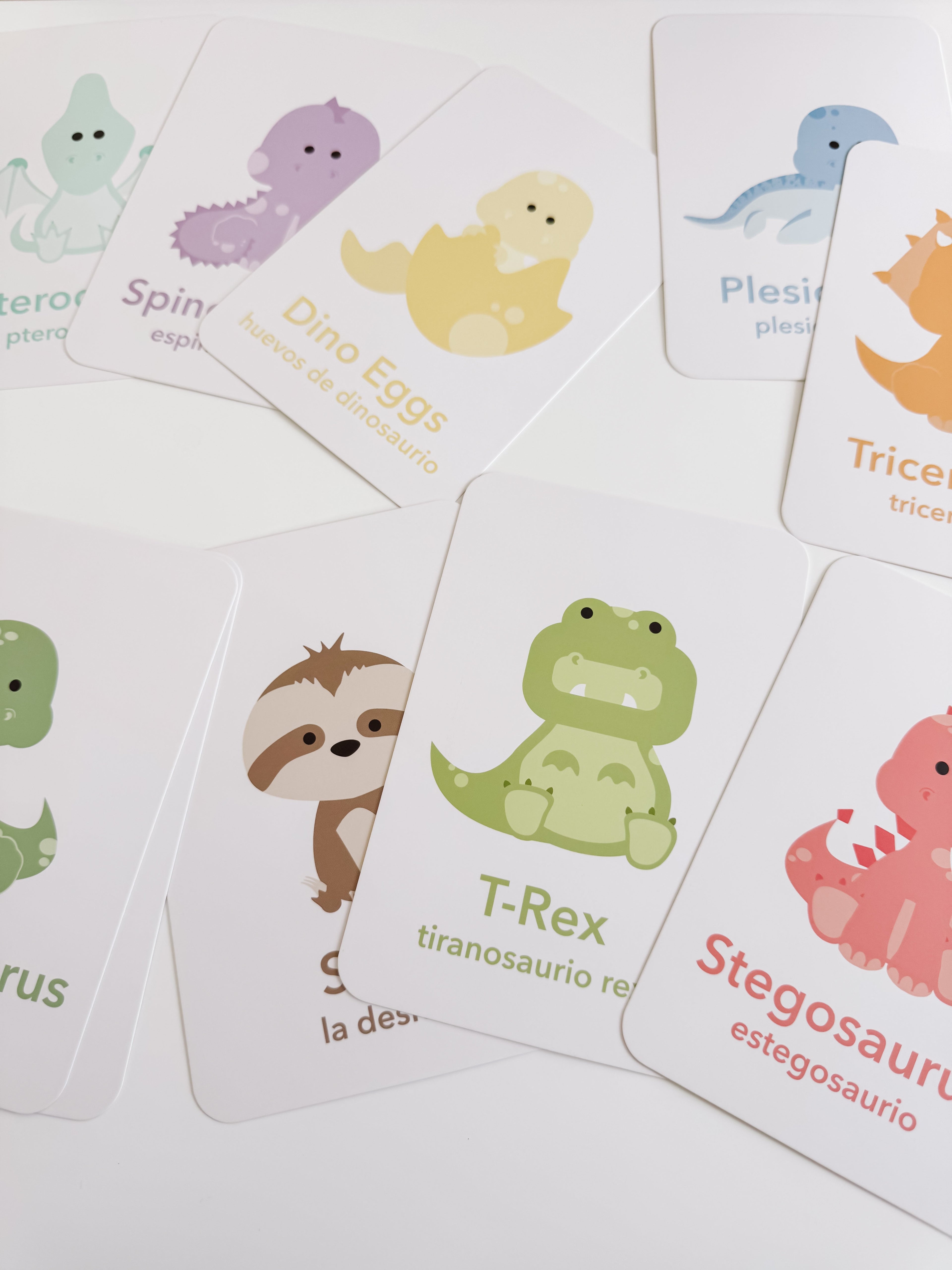 dinosaur-flashcards-Gift-Baby-Toys-14