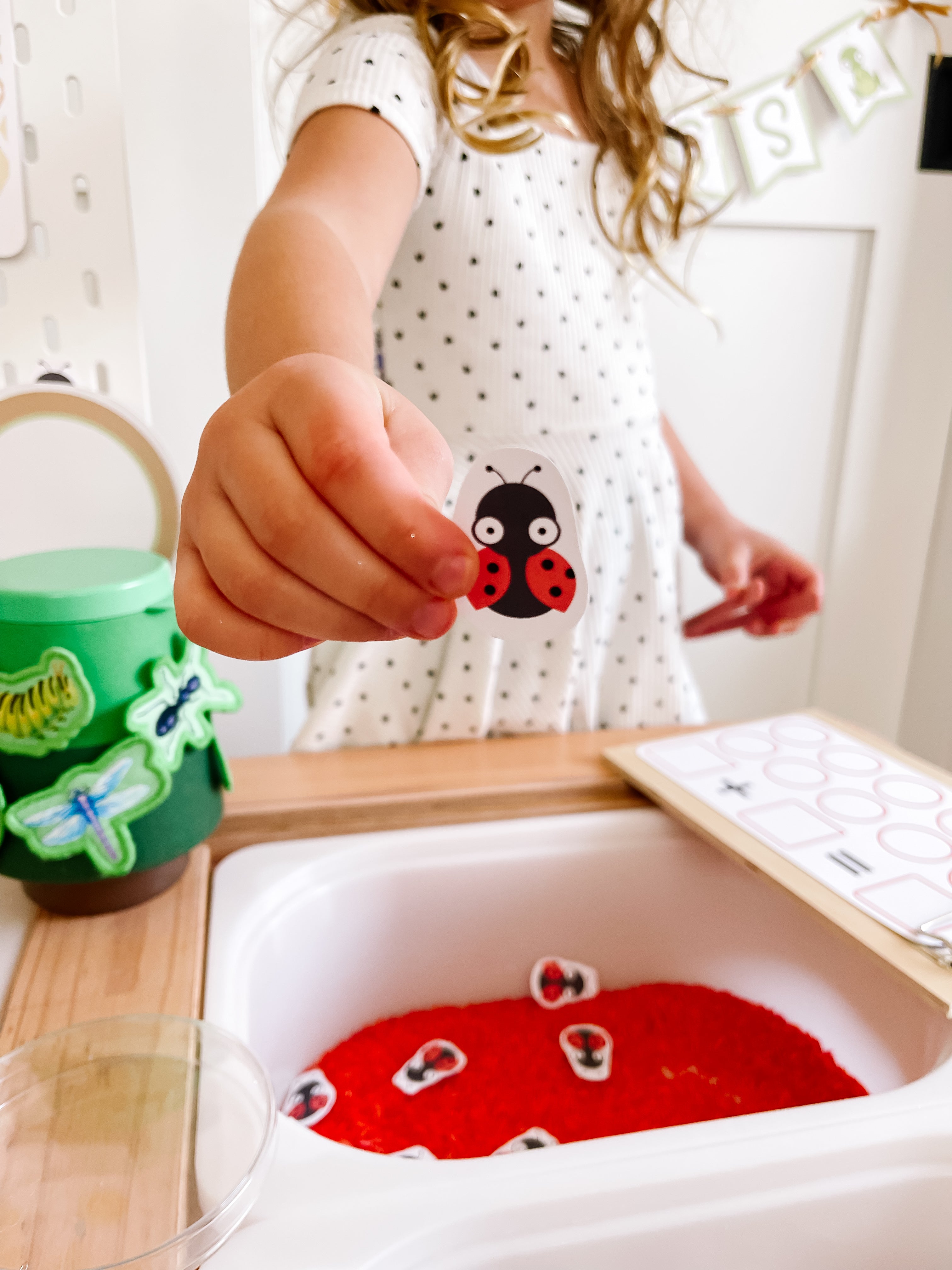 bugs-printable-dramatic-play-Gift-Baby-Toys-42
