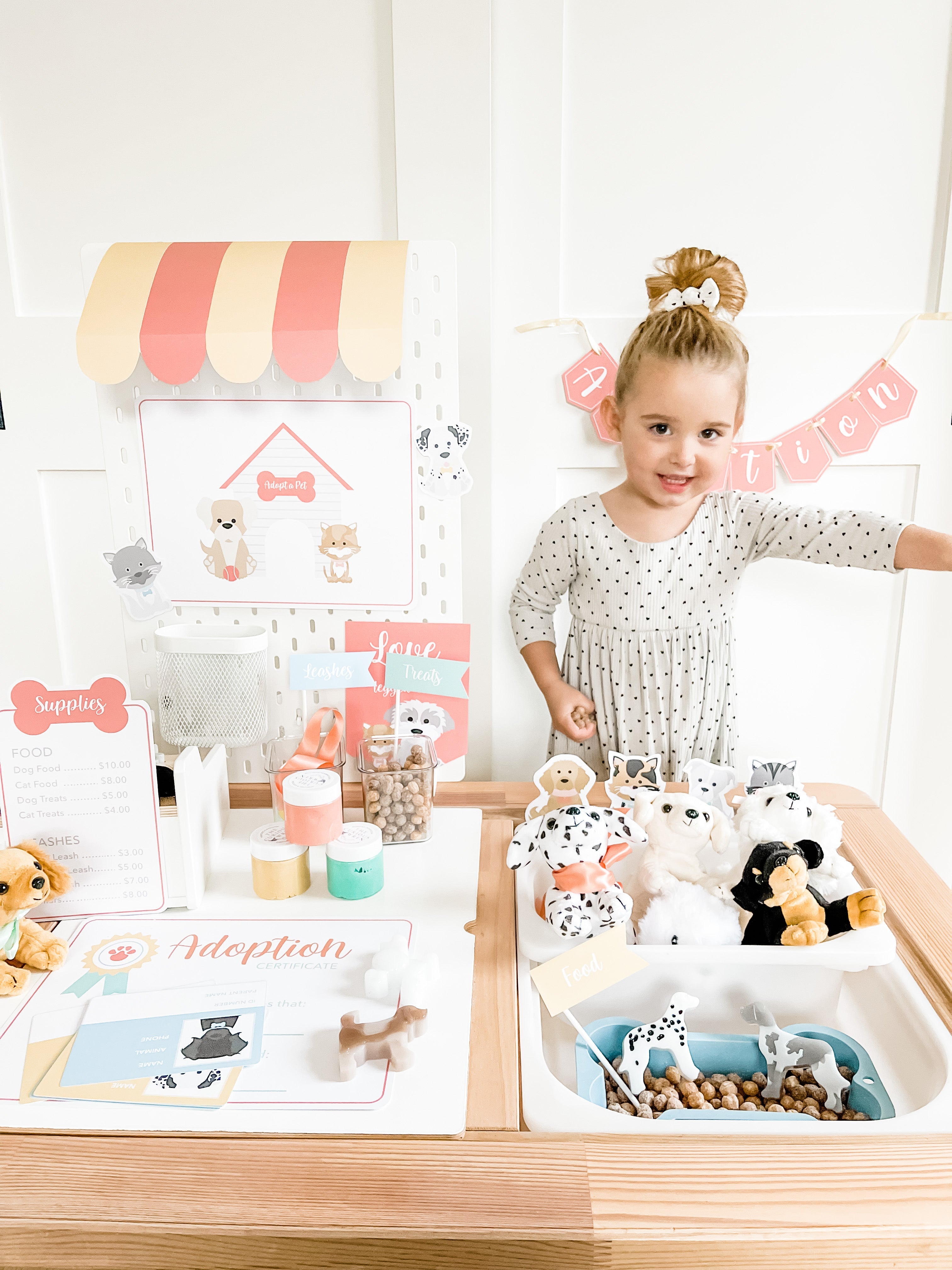 pet-adoption-clinic-dramatic-play-Gift-Baby-Toys-6