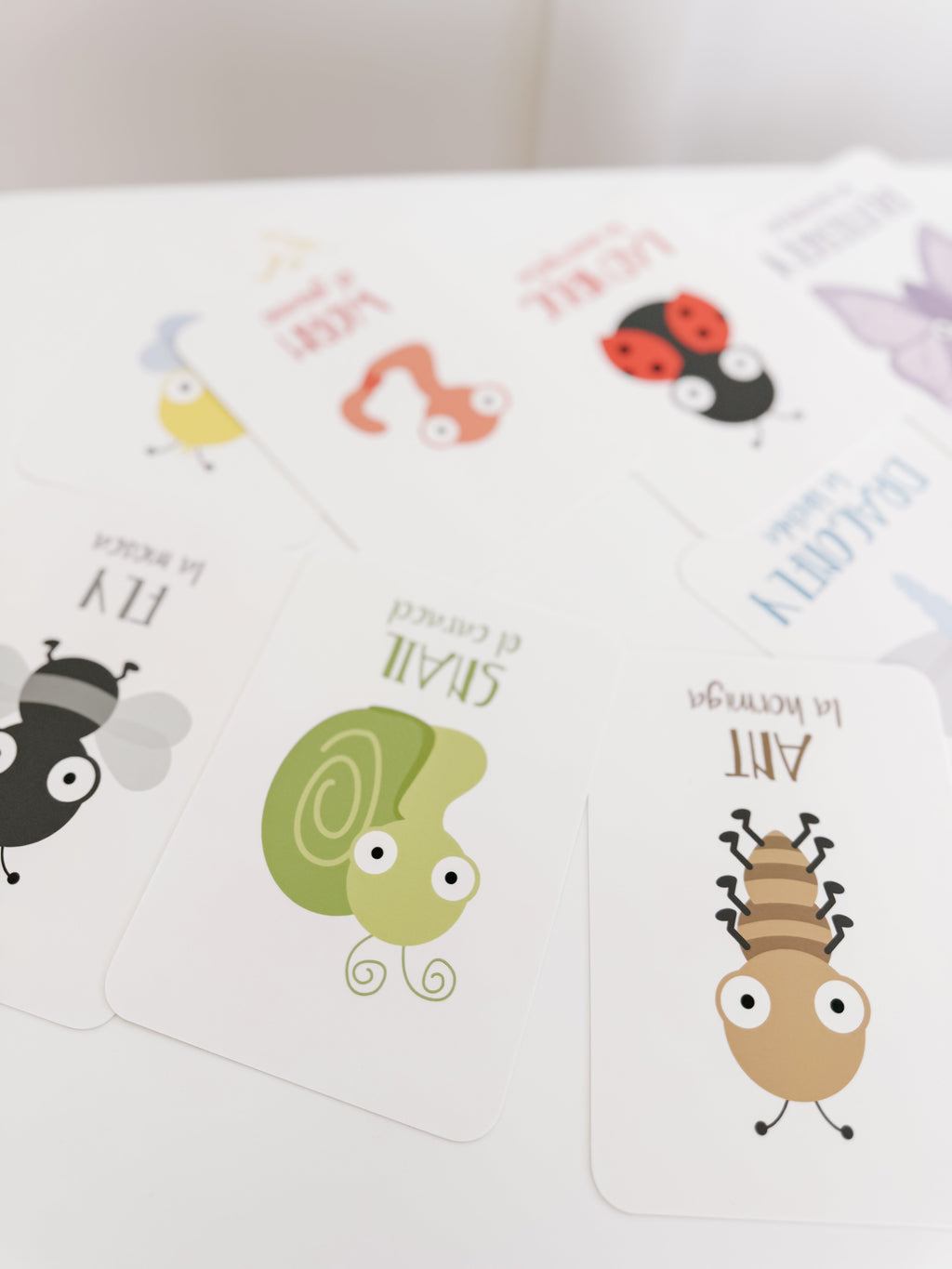 bugs-flashcards-Gift-Baby-Toys-29