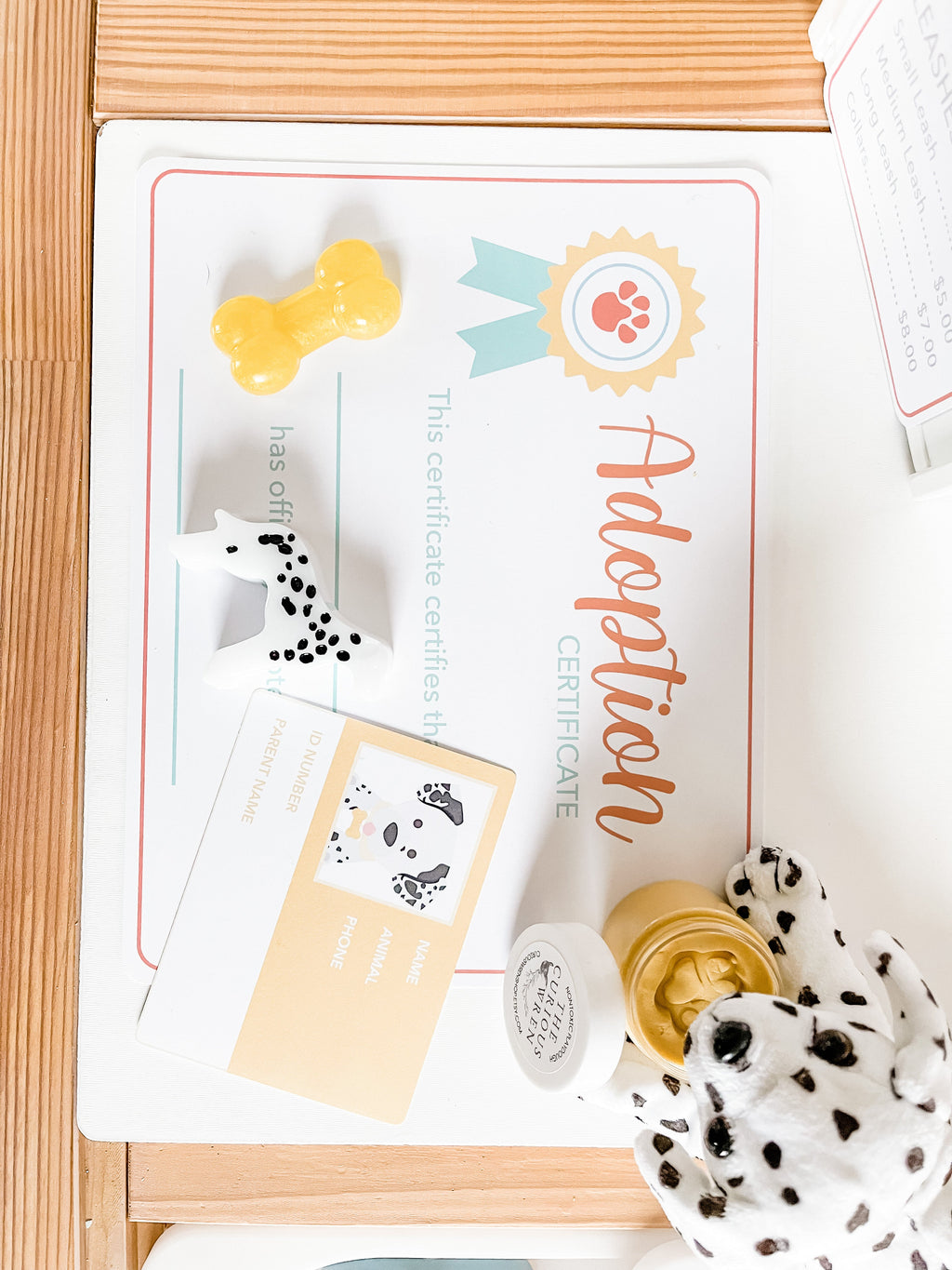 pet-adoption-clinic-dramatic-play-Gift-Baby-Toys-17