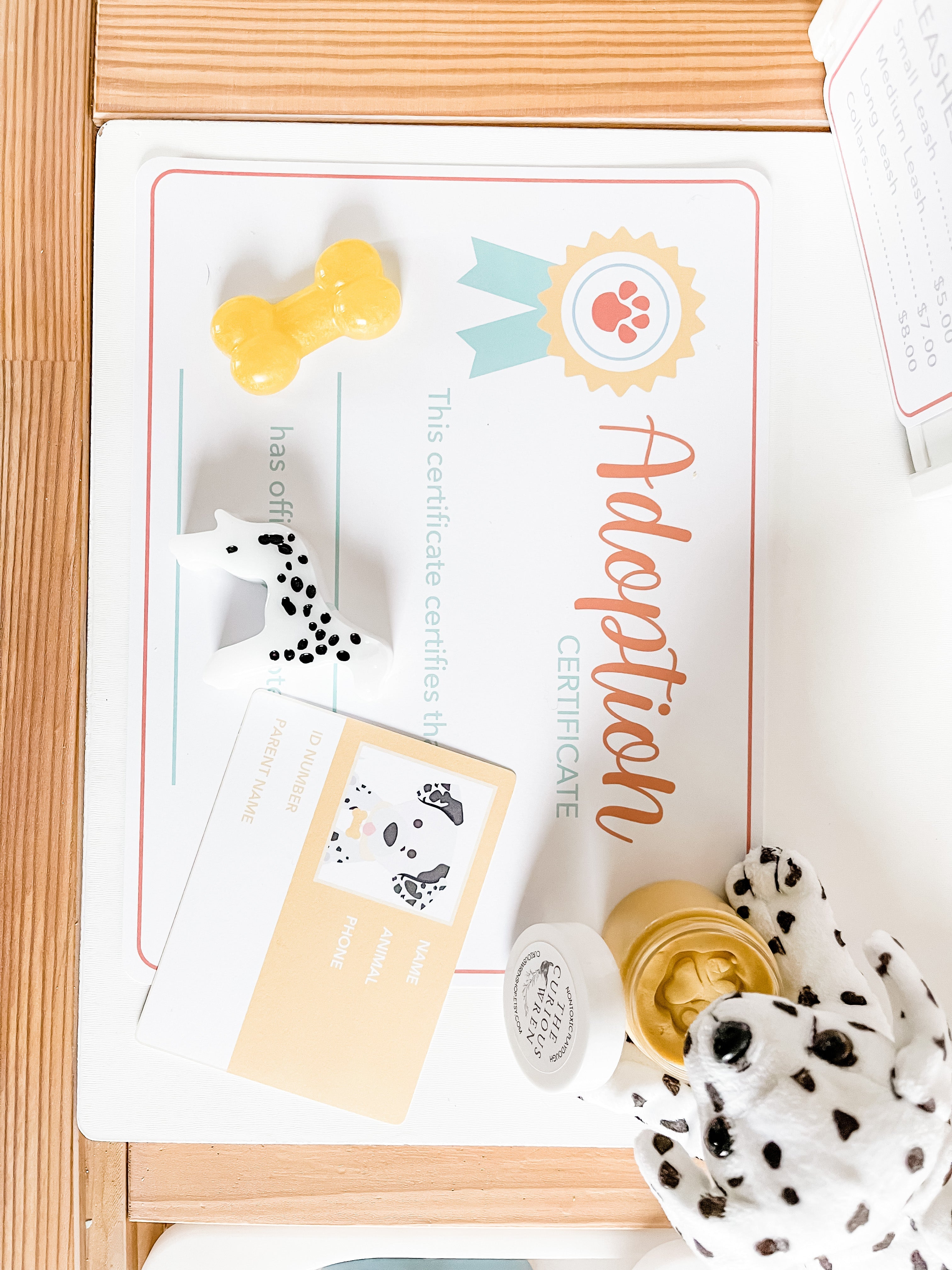 pet-adoption-clinic-dramatic-play-Gift-Baby-Toys-17