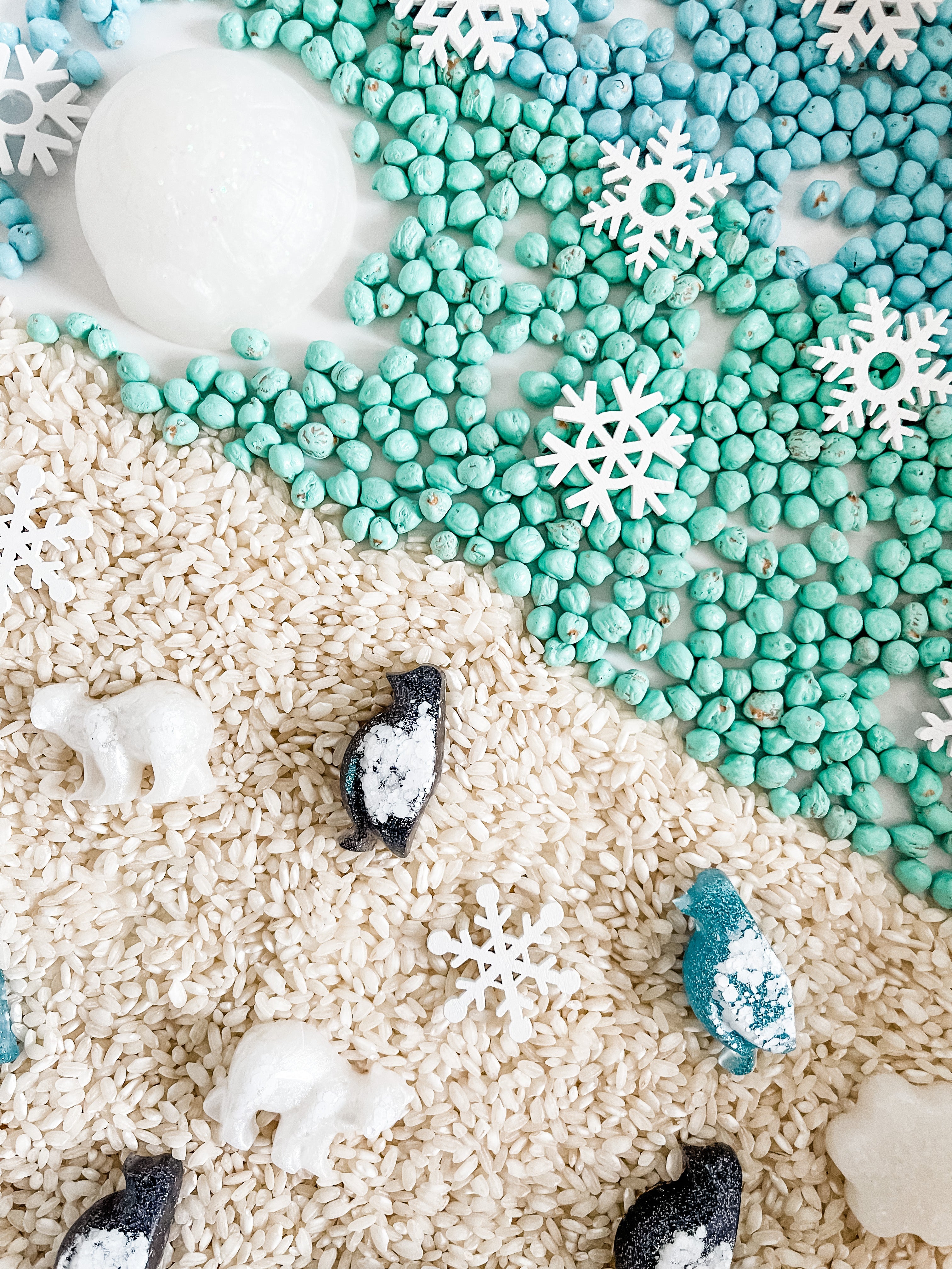 arctic-polar-animals-printable-dramatic-play-Gift-Baby-Toys-22