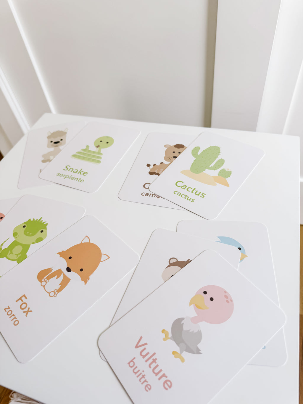 desert-animal-flashcards-Gift-Baby-Toys-14