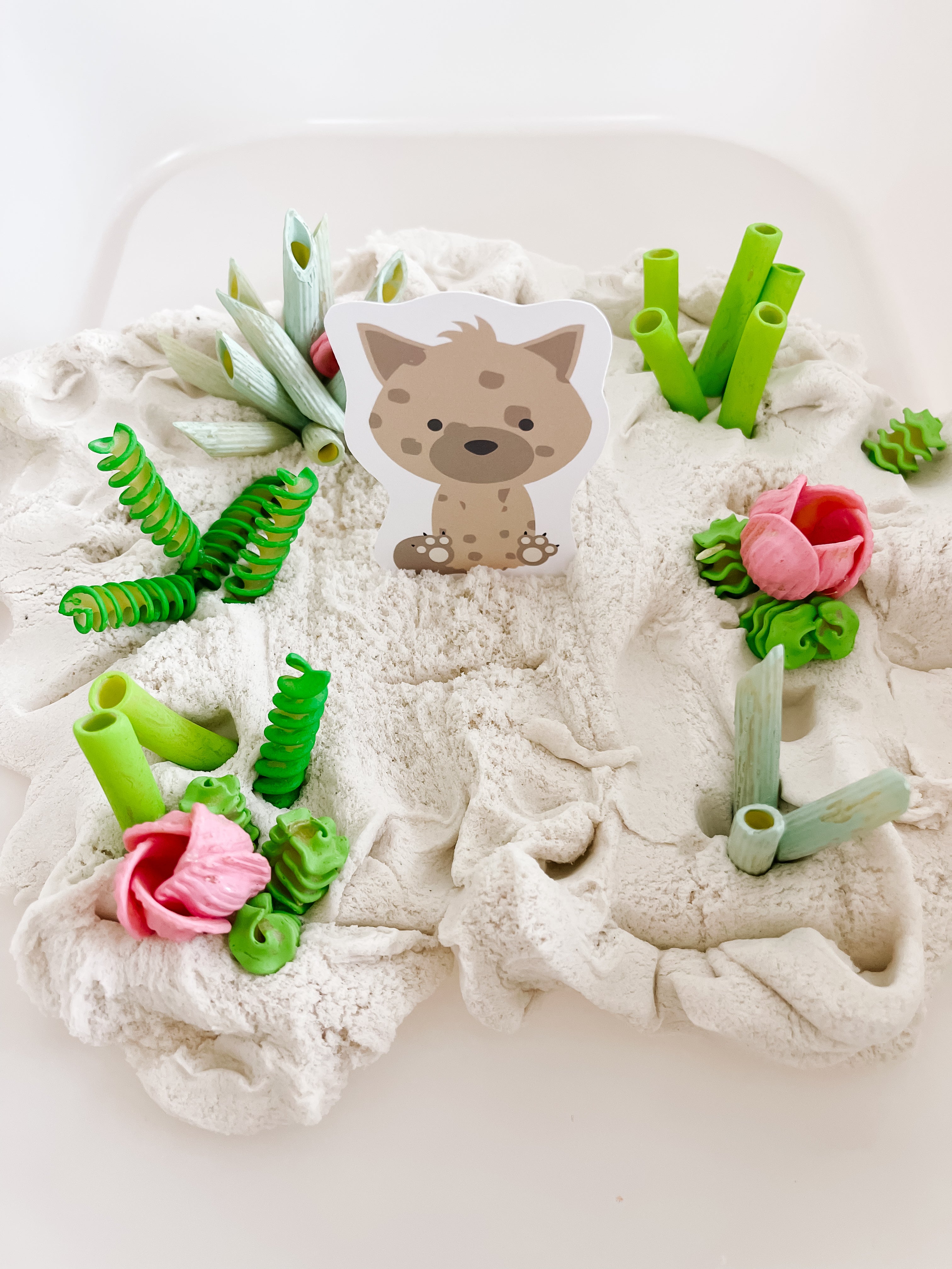 desert-animals-printable-dramatic-play-kit-Gift-Baby-Toys-18