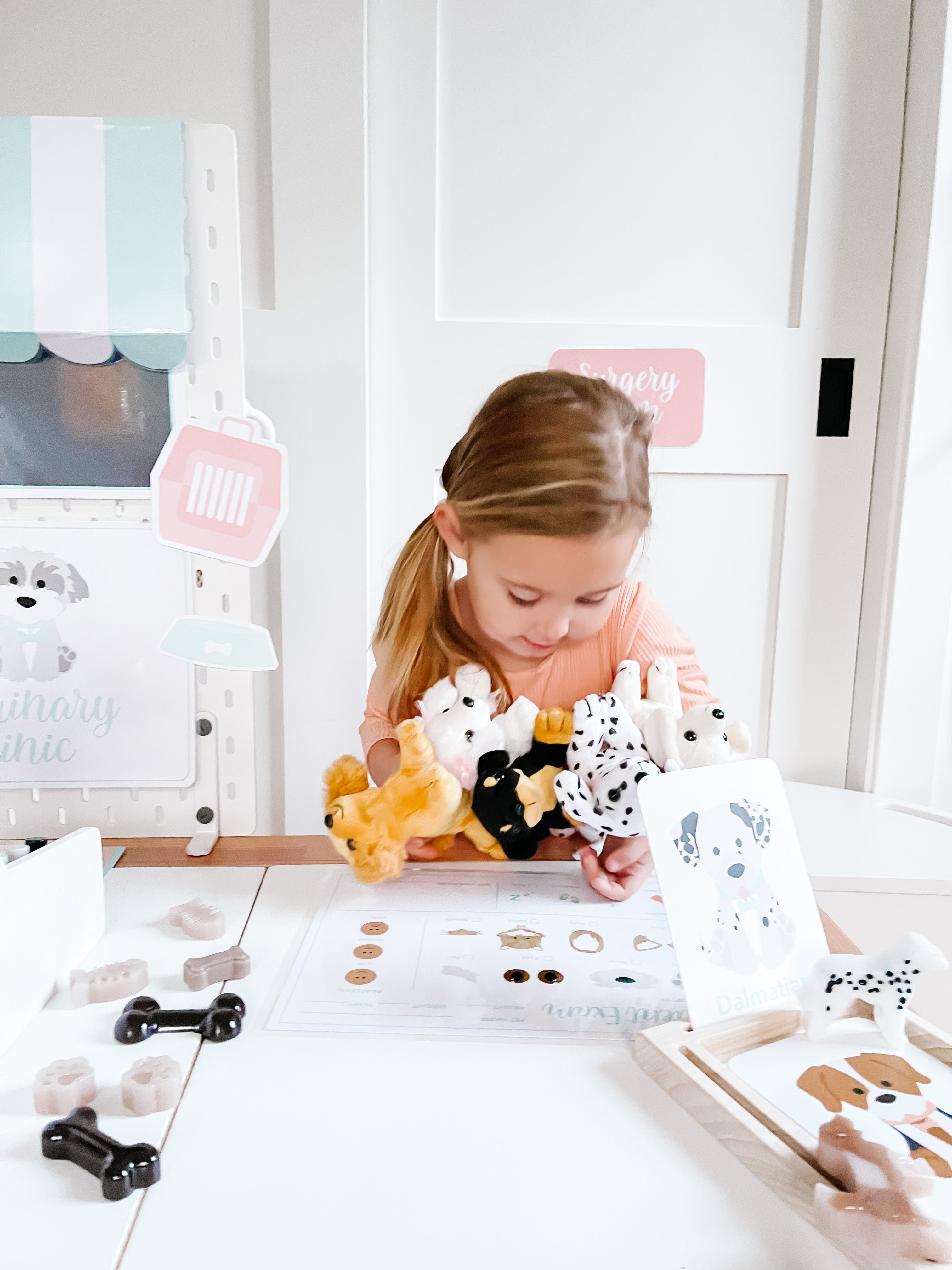 vet-clinic-dramatic-play-Gift-Baby-Toys-41