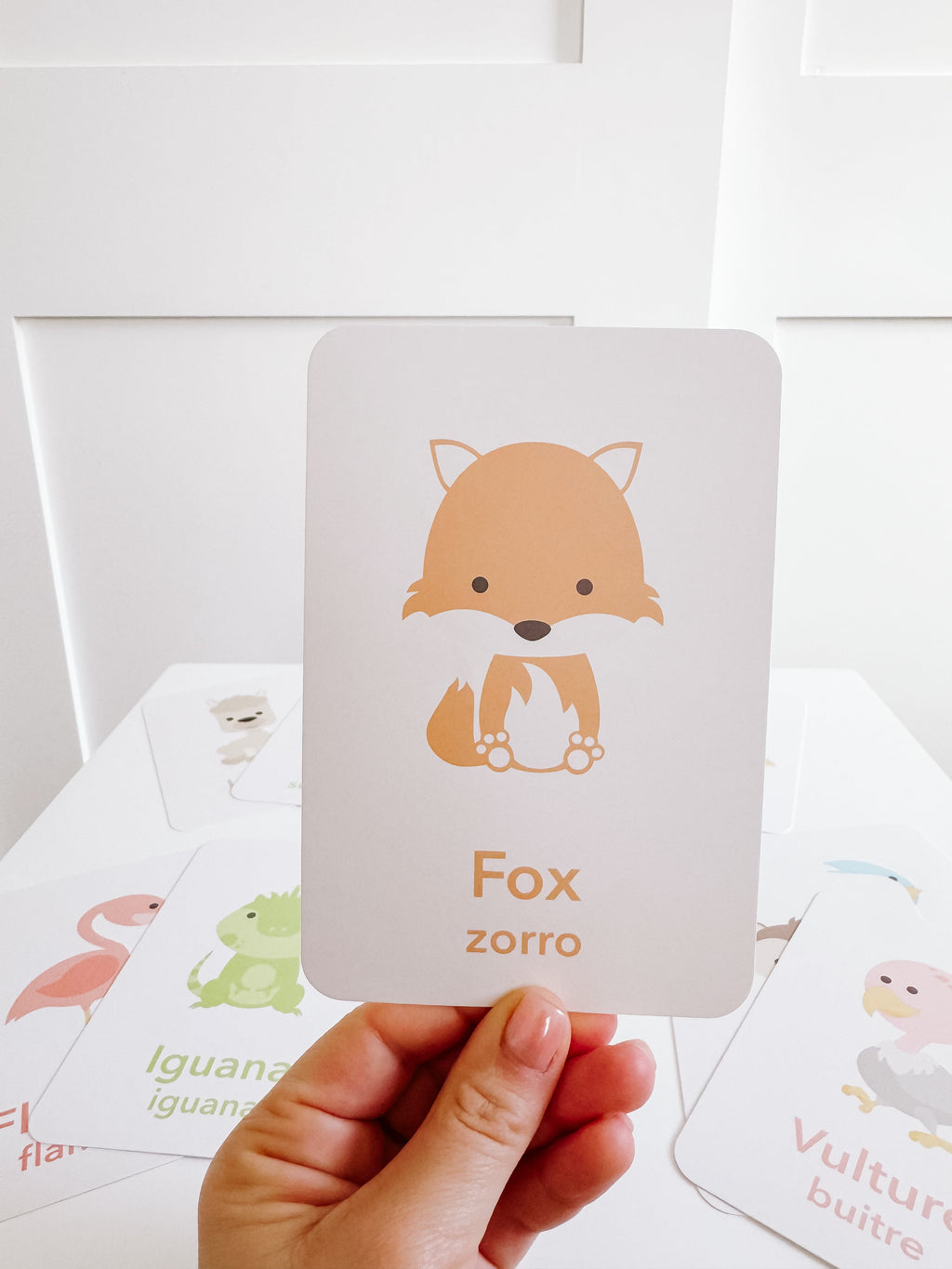 desert-animal-flashcards-Gift-Baby-Toys-13