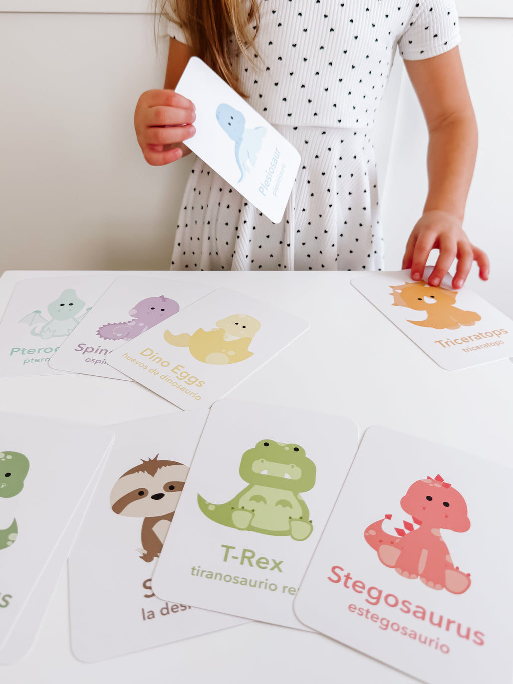 dinosaur-flashcards-Gift-Baby-Toys-13