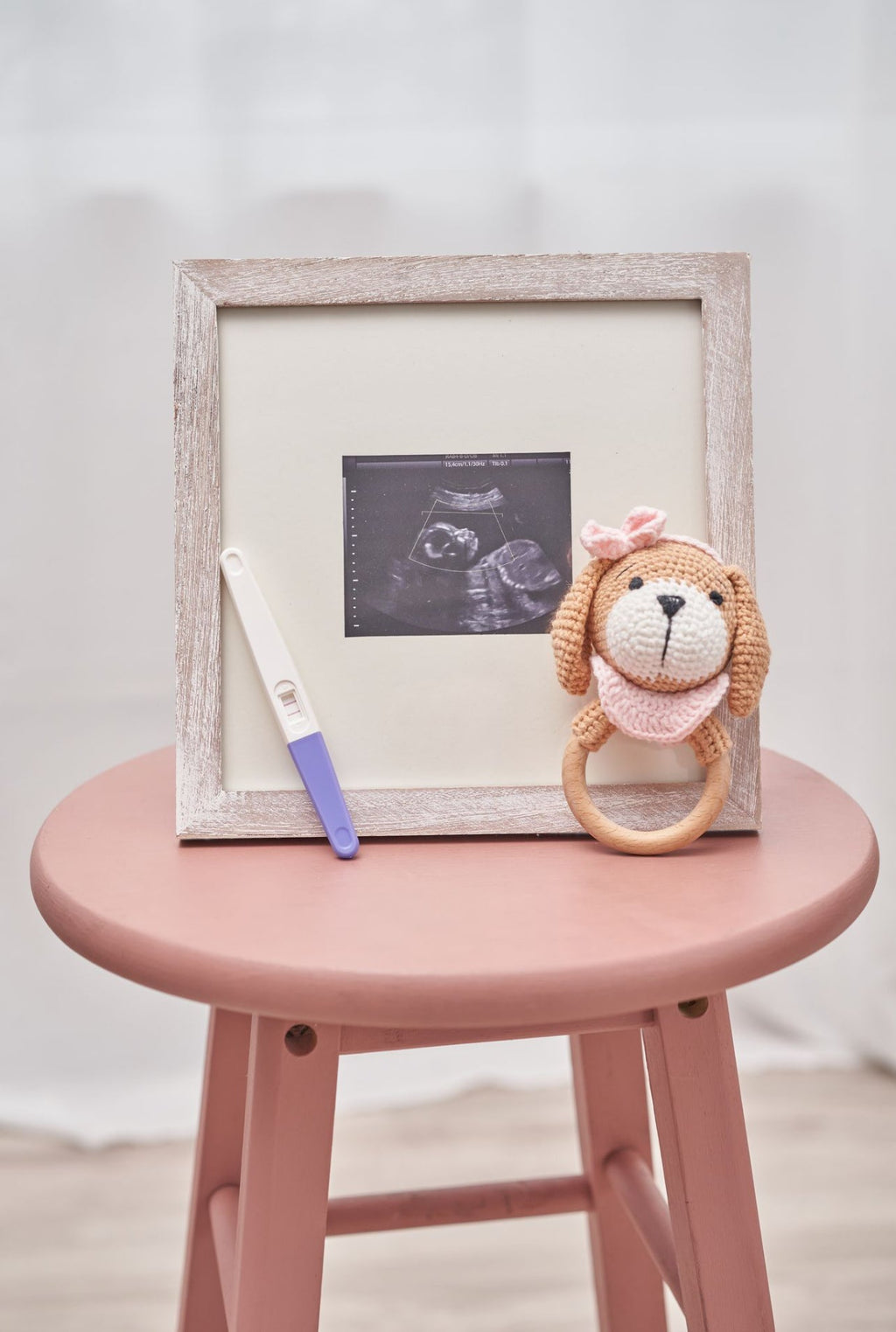 cinnamon-pink-puppy-rattle-Gift-Baby-Toys-2