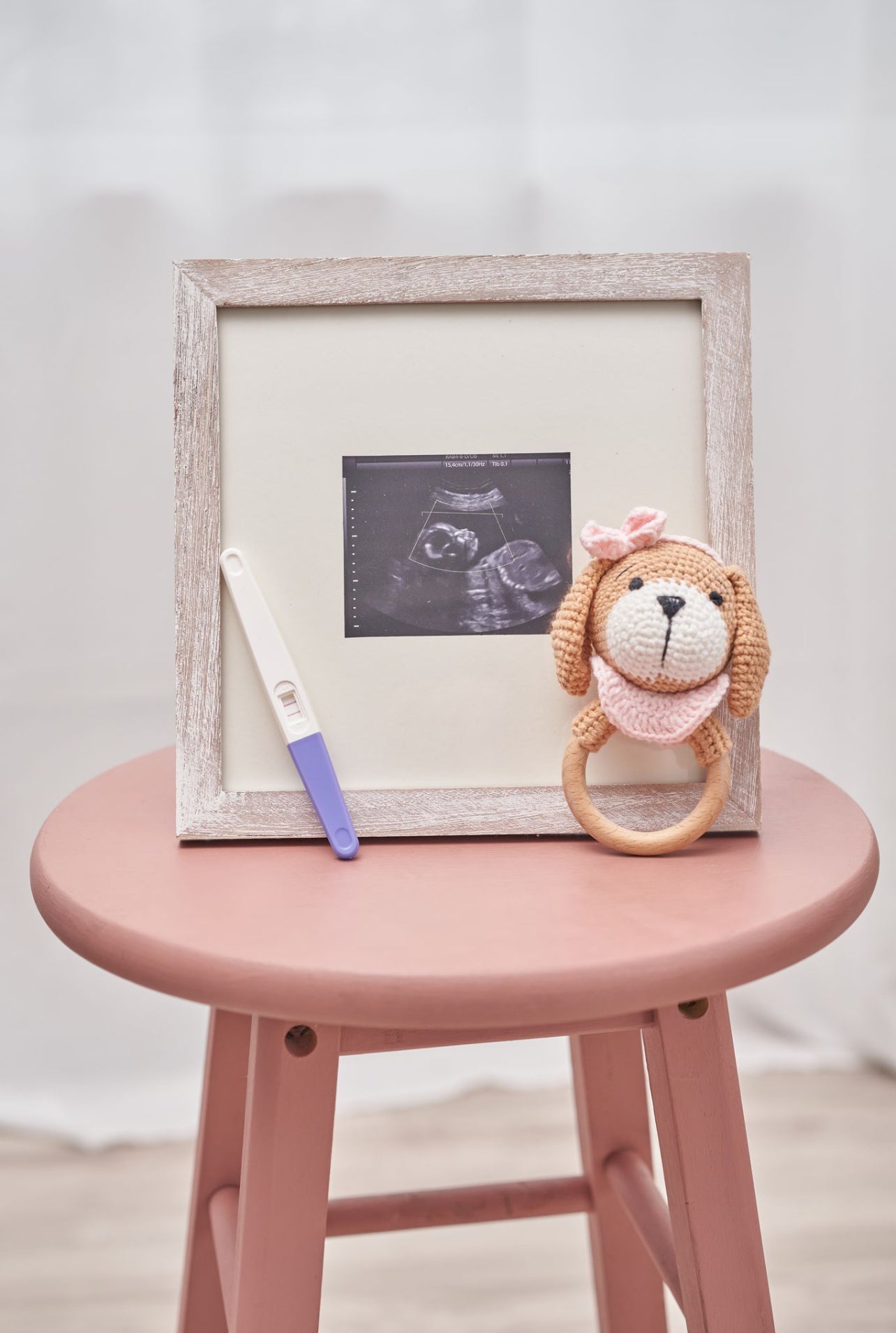 cinnamon-pink-puppy-rattle-Gift-Baby-Toys-2