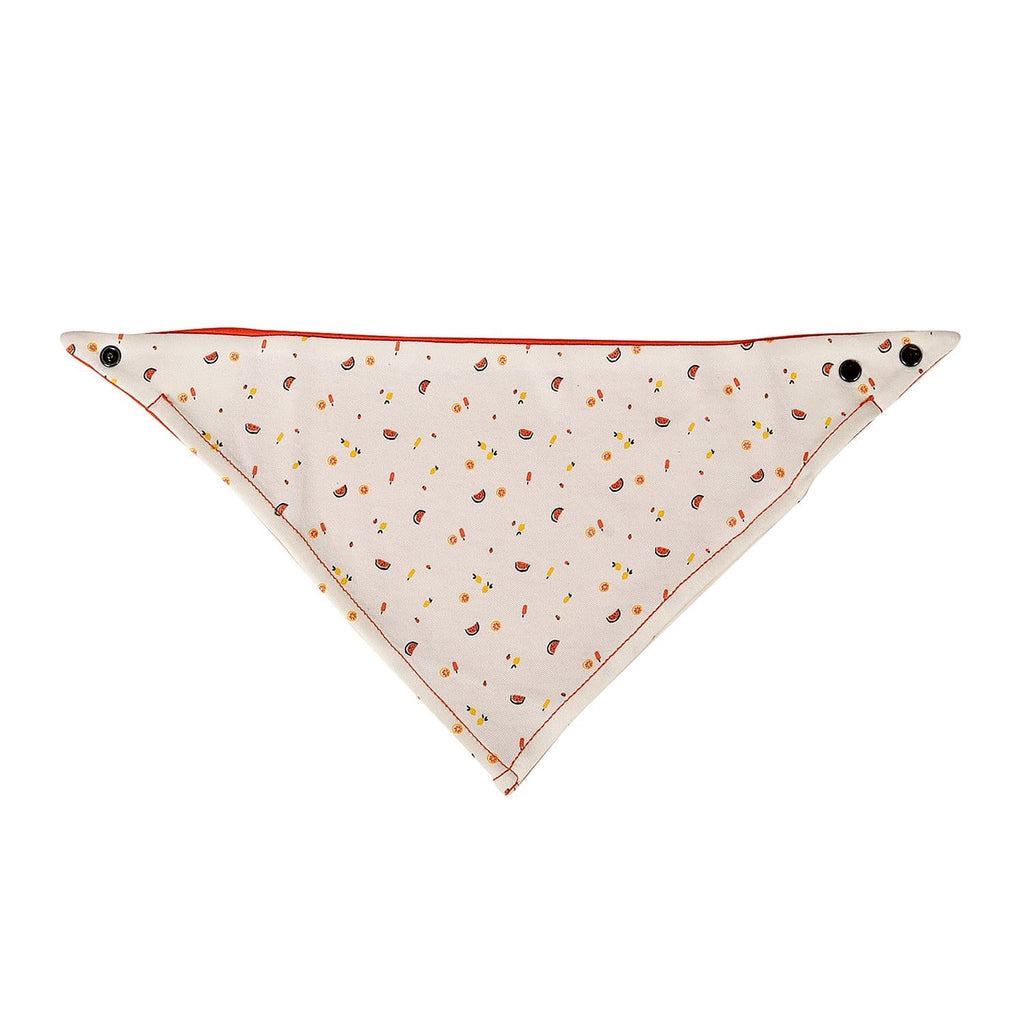 kerchief-bib-tutti-frutti-Gift-Baby-Toysaccessories-1