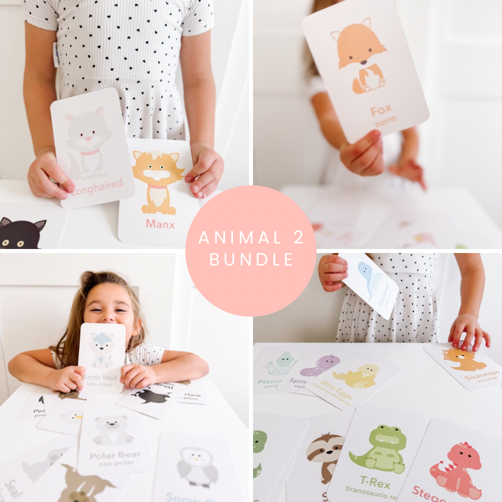 animal-2-flashcards-bundle-Gift-Baby-Toys-1