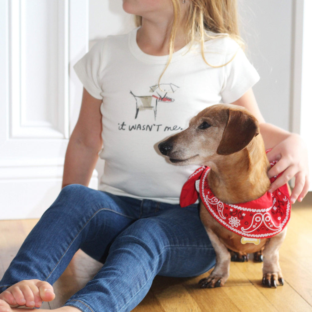 graphic-tee-wasnt-me-Gift-Baby-Toys-2