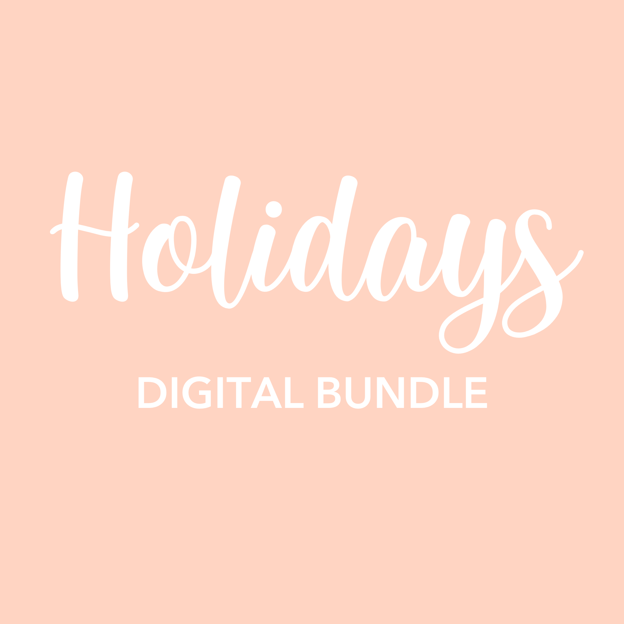 holiday-dramatic-play-bundle-Gift-Baby-Toys-1