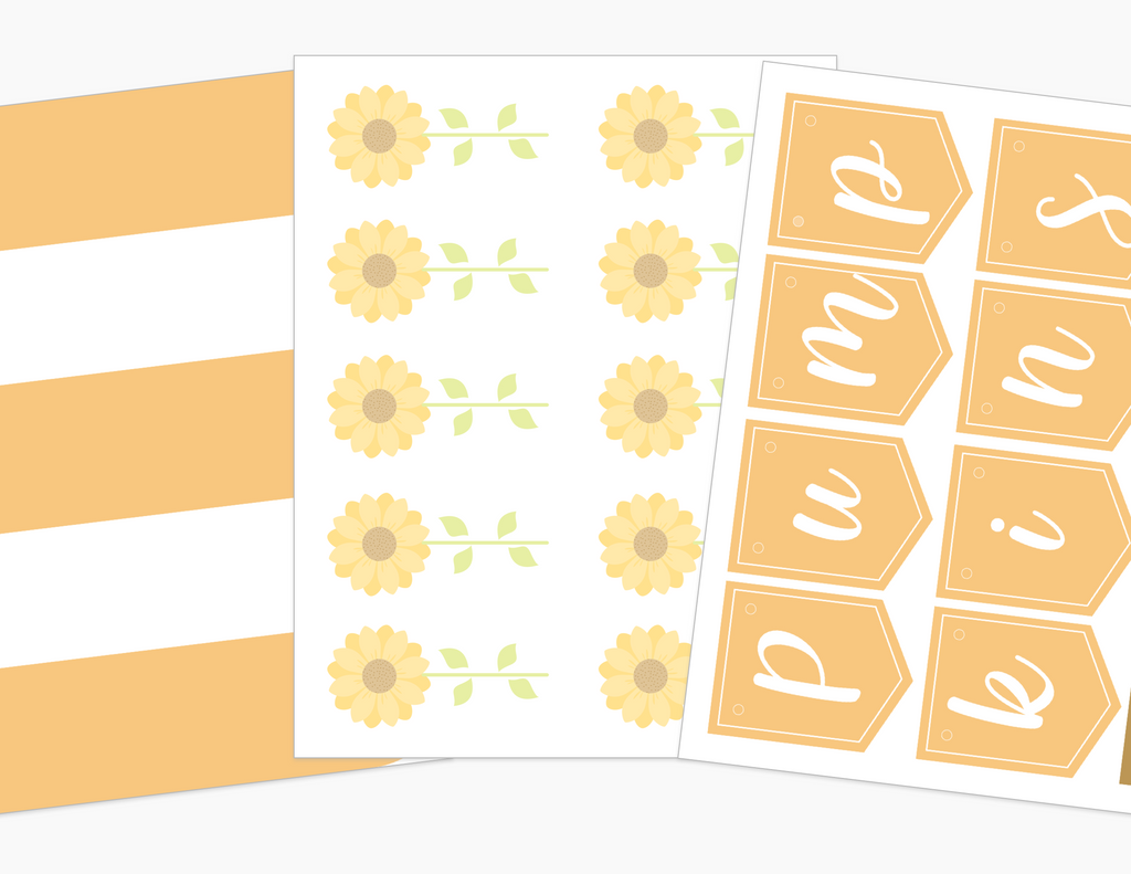 pumpkin-patch-printable-dramatic-play-Gift-Baby-Toys-4