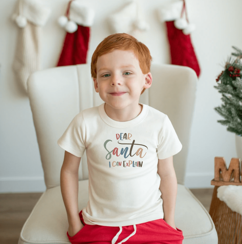 graphic-tee-i-can-explain-Gift-Baby-Toys-2