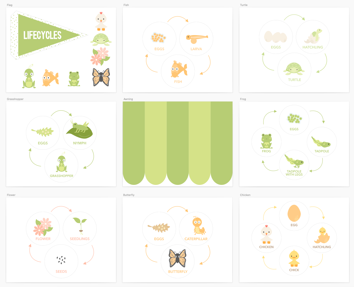 lifecycle-printable-dramatic-play-kit-Gift-Baby-Toys-1