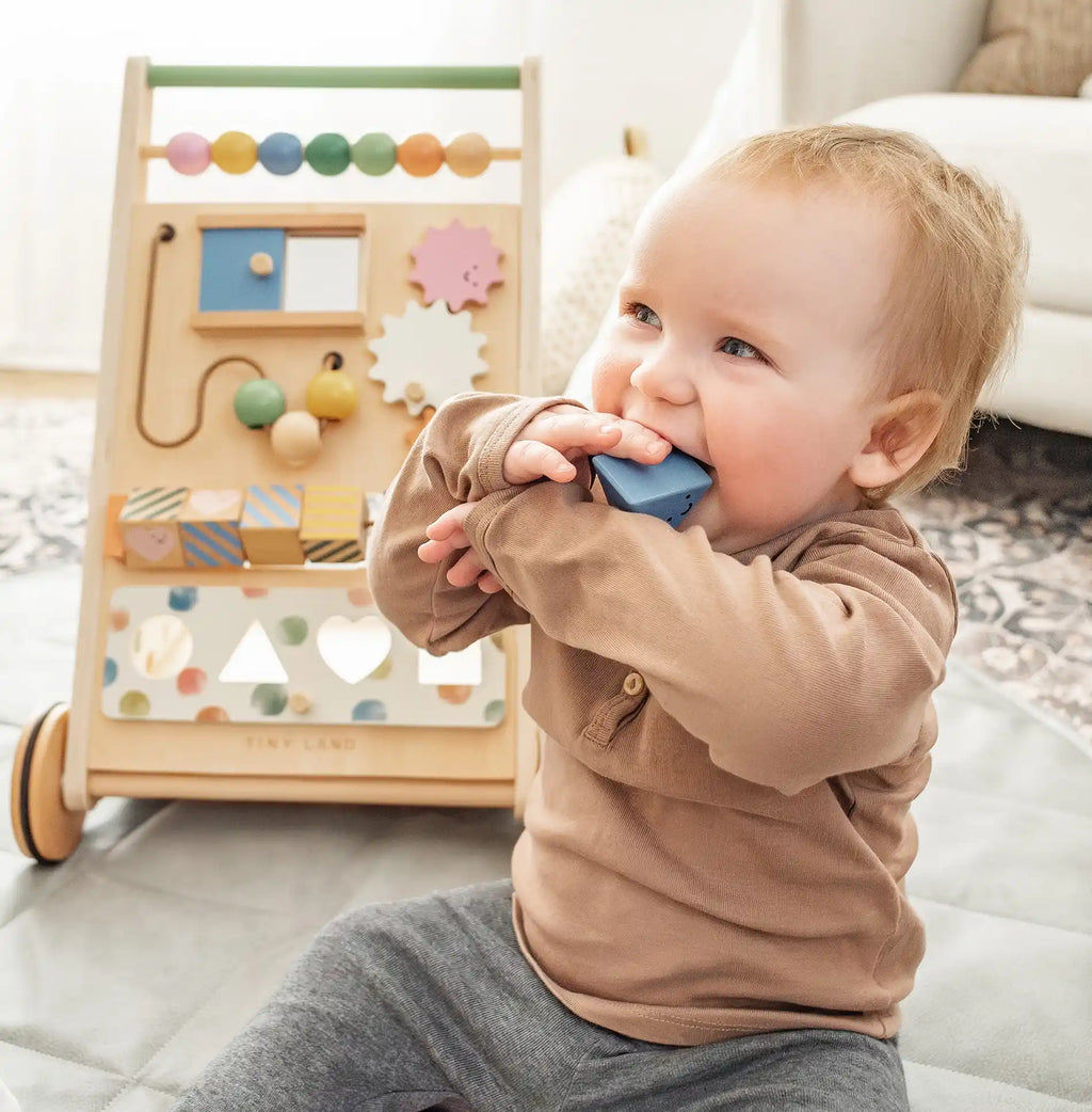 tiny-land®-versatile-natural-wooden-baby-walker-Gift-Baby-Toys-5