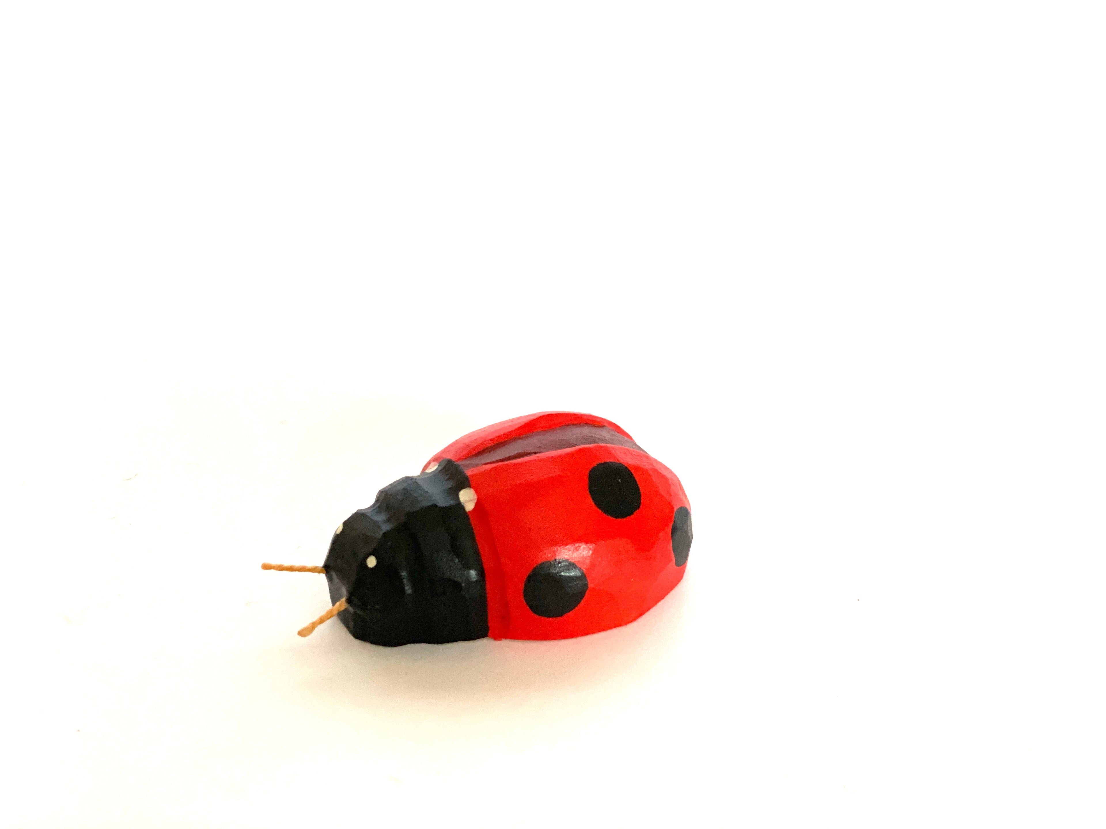 wooden-ladybug-toy-Gift-Baby-Toys-2