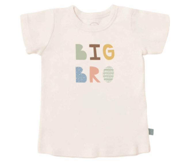 graphic-tee-big-bro-desert-bloom-Gift-Baby-Toystops-1