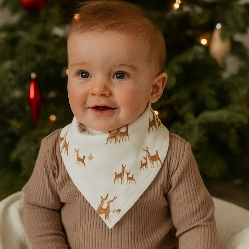 kerchief-bib-deer-to-my-heart-Gift-Baby-Toys-3