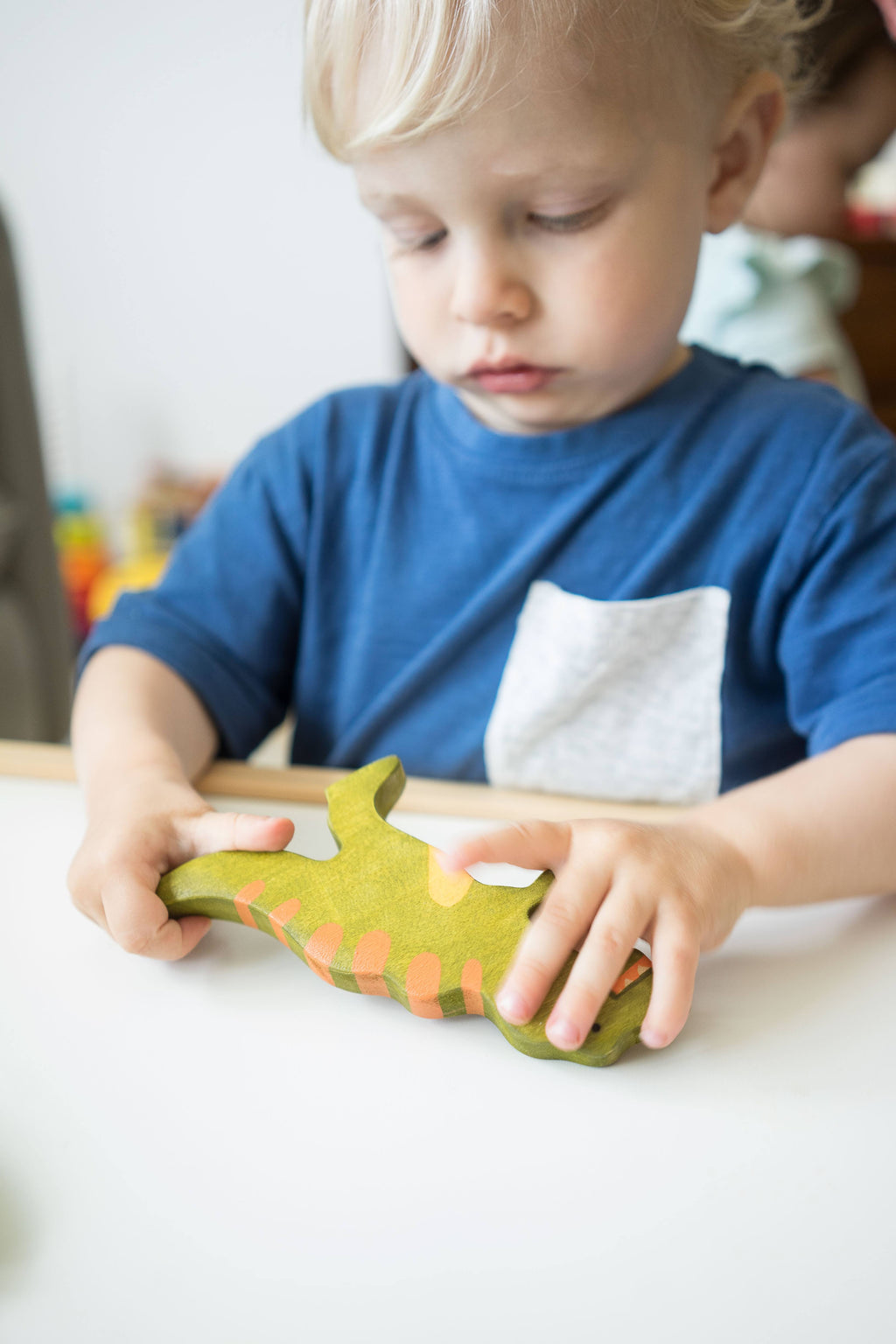 wooden-dinosaur-toy-set-painted-6-pieces-Gift-Baby-Toys-9