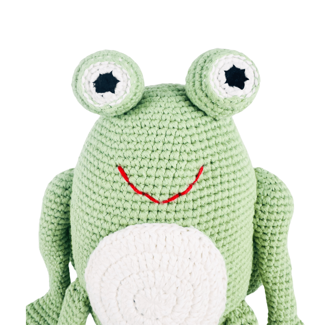 freddie-the-frog-Gift-Baby-Toys-3