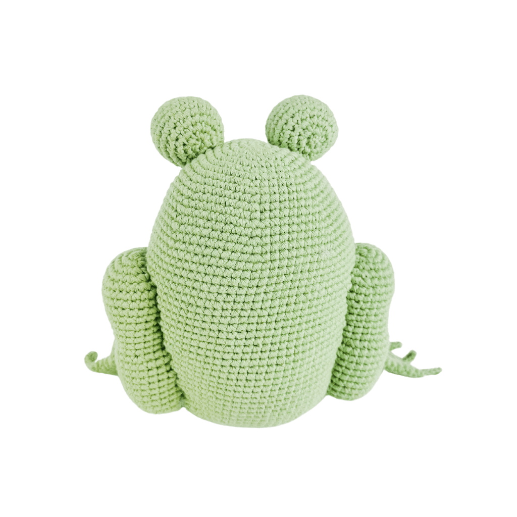 freddie-the-frog-Gift-Baby-Toys-4