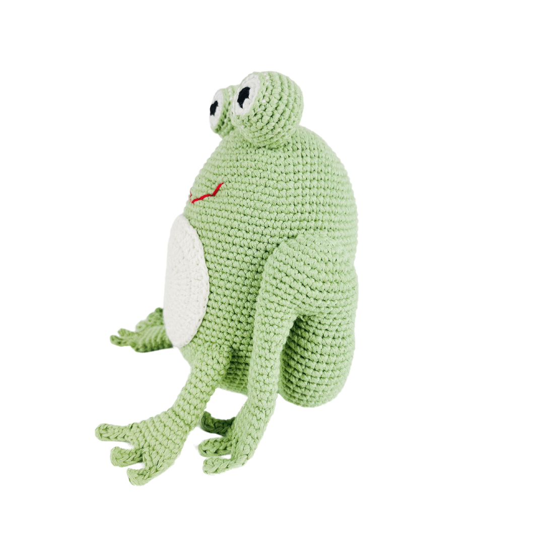 freddie-the-frog-Gift-Baby-Toys-5