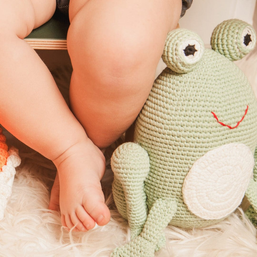 freddie-the-frog-Gift-Baby-Toys-2