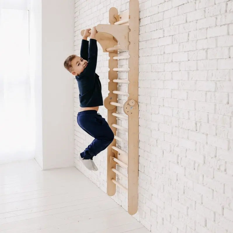 gym-addition-to-the-climbing-ladders-Gift-Baby-Toys-4