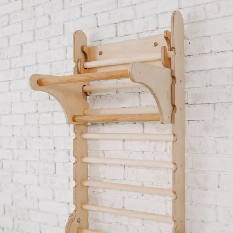 gym-addition-to-the-climbing-ladders-Gift-Baby-Toys-5