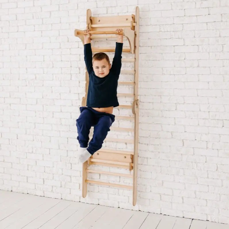 gym-addition-to-the-climbing-ladders-Gift-Baby-Toys-6
