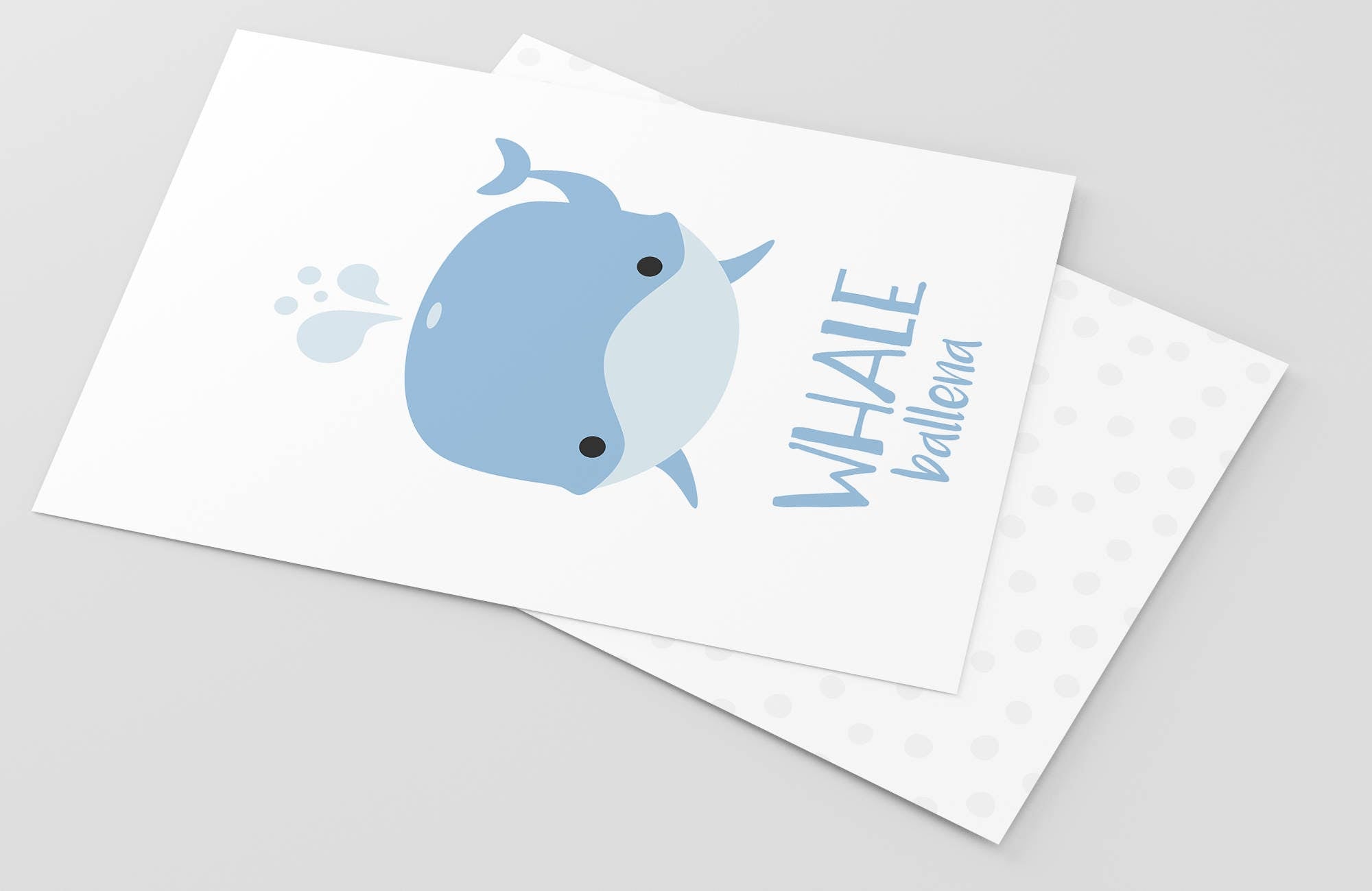 sea-animals-flashcards-Gift-Baby-Toys-5