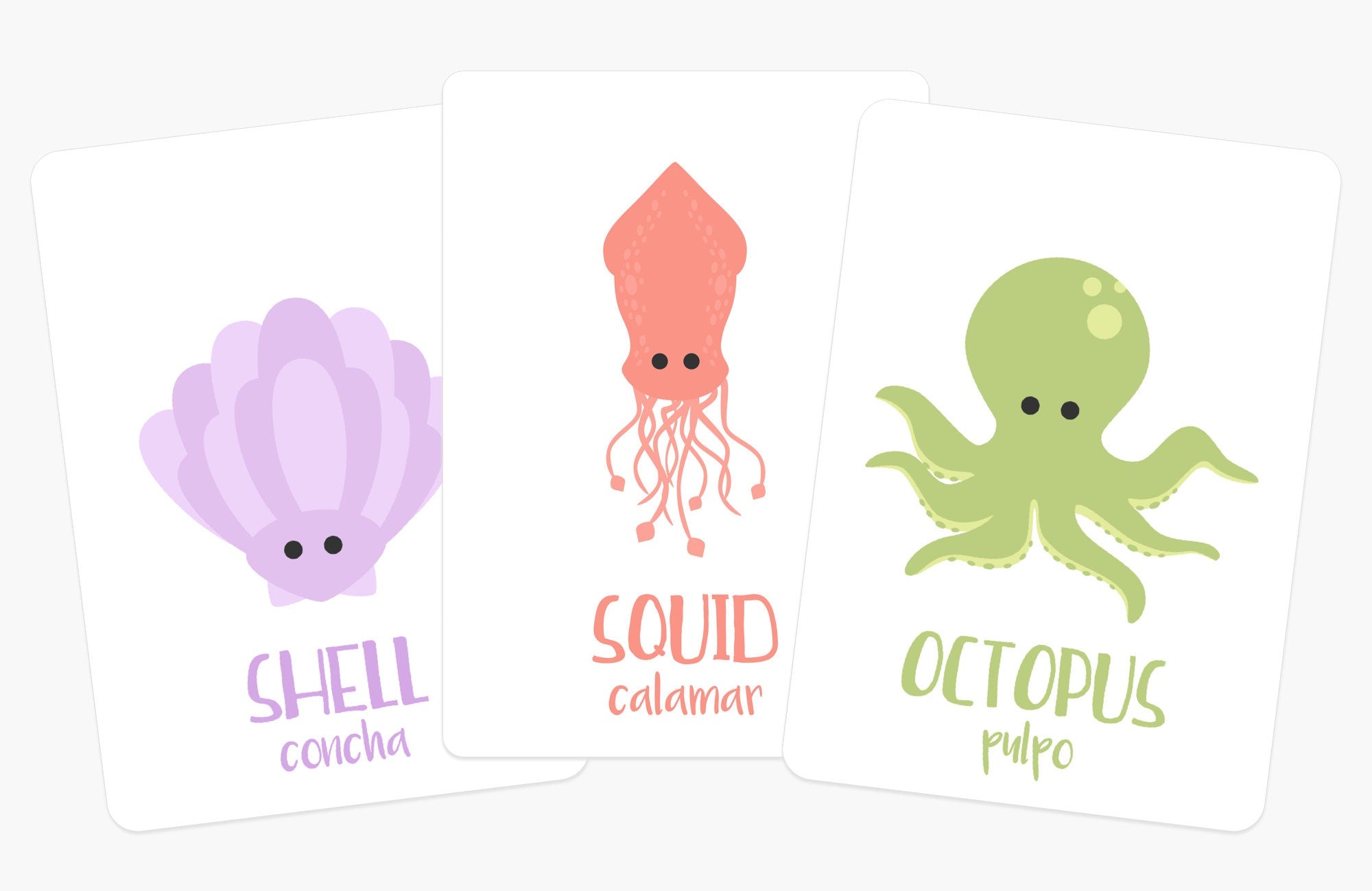 sea-animals-flashcards-Gift-Baby-Toys-3