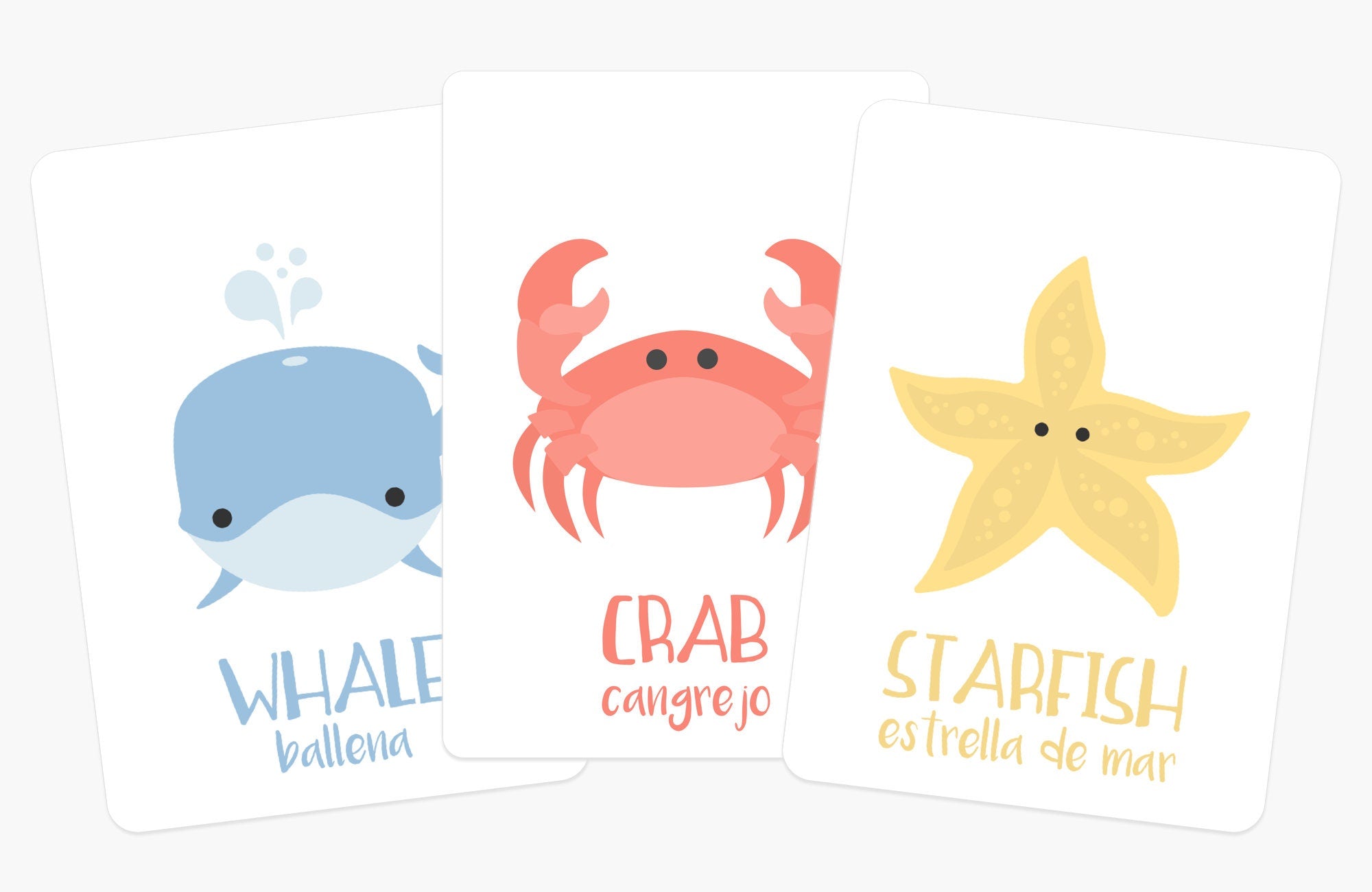 sea-animals-flashcards-Gift-Baby-Toys-2