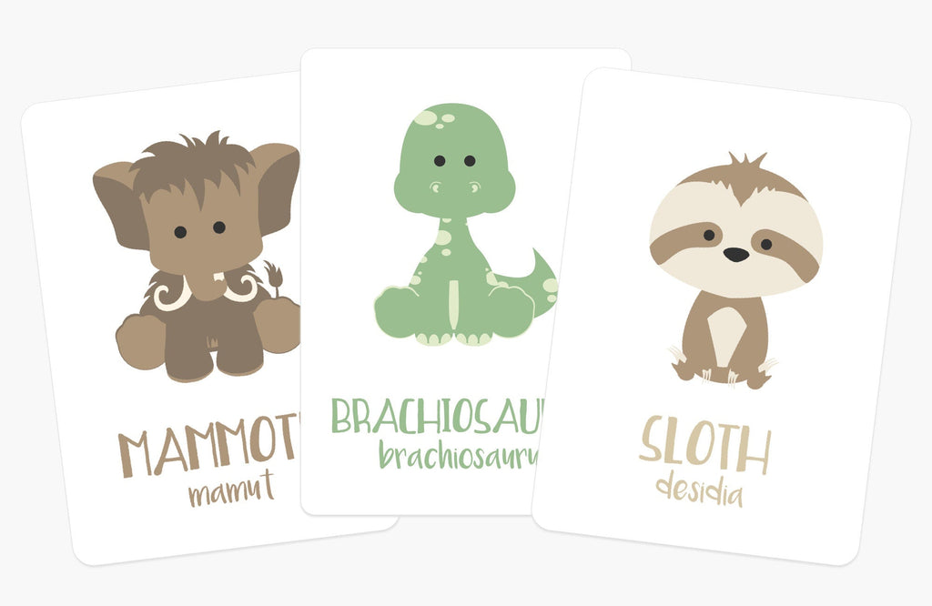 dinosaur-flashcards-Gift-Baby-Toys-4
