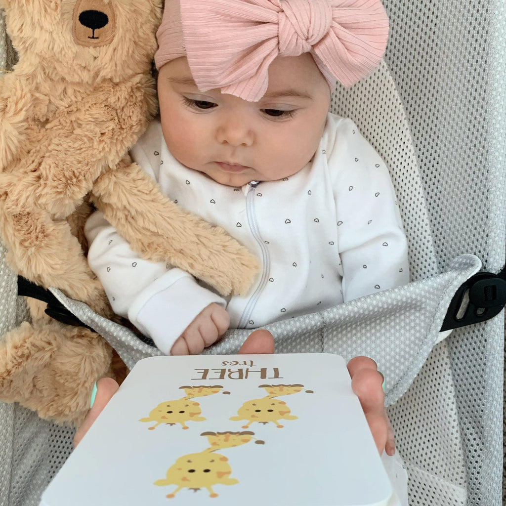 counting-flashcards-animals-Gift-Baby-Toys-3