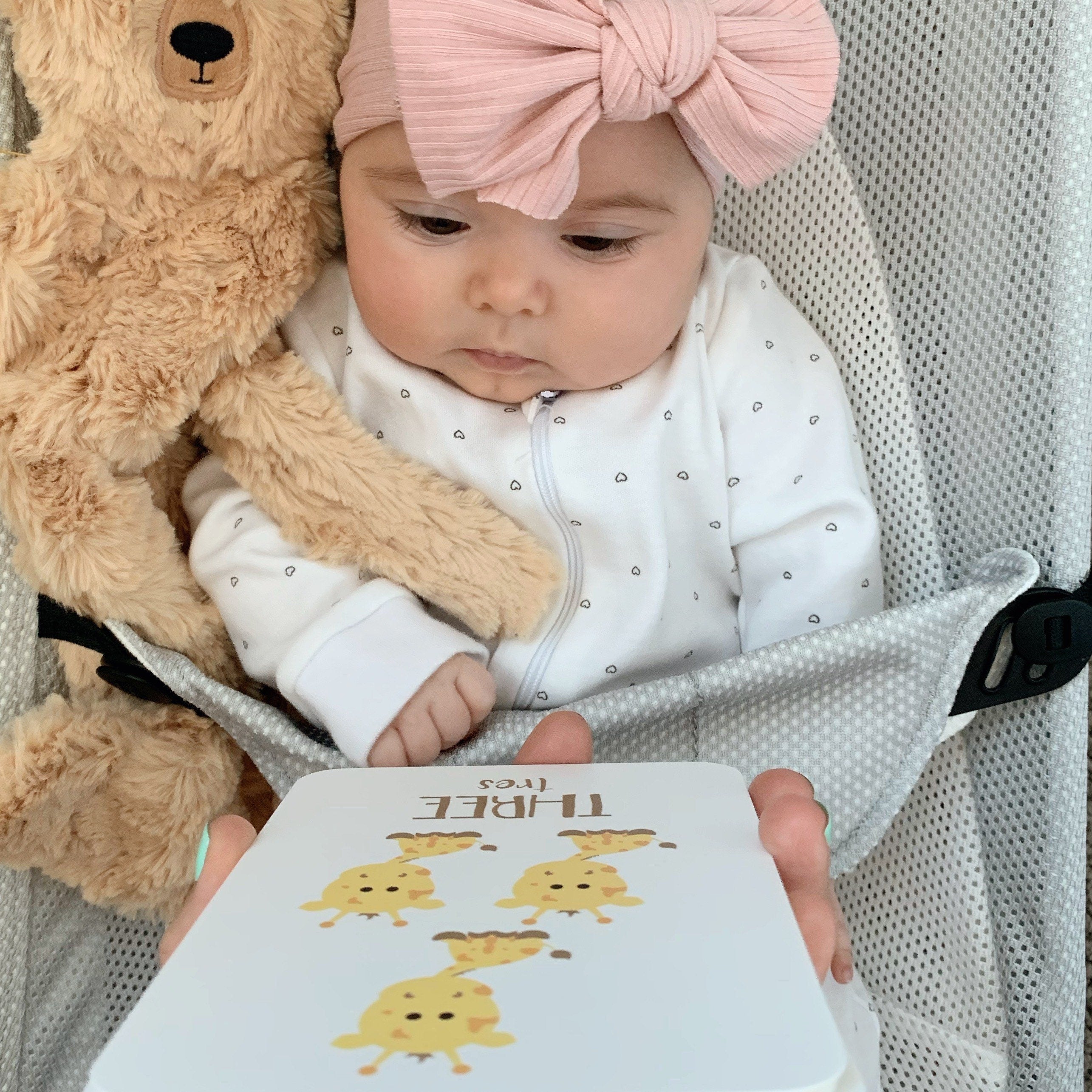 counting-flashcards-animals-Gift-Baby-Toys-3