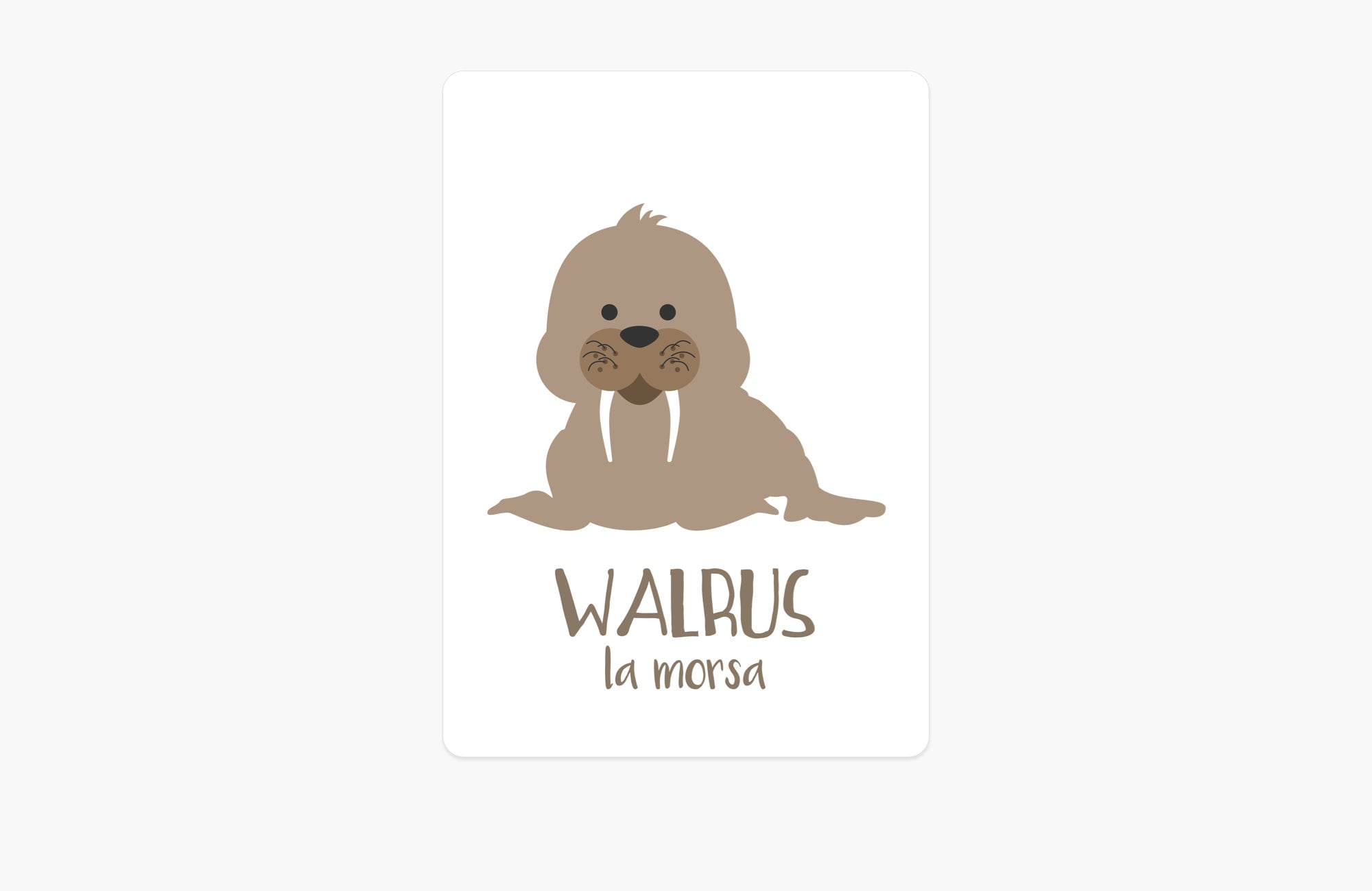 arctic-animals-flashcards-Gift-Baby-Toys-8