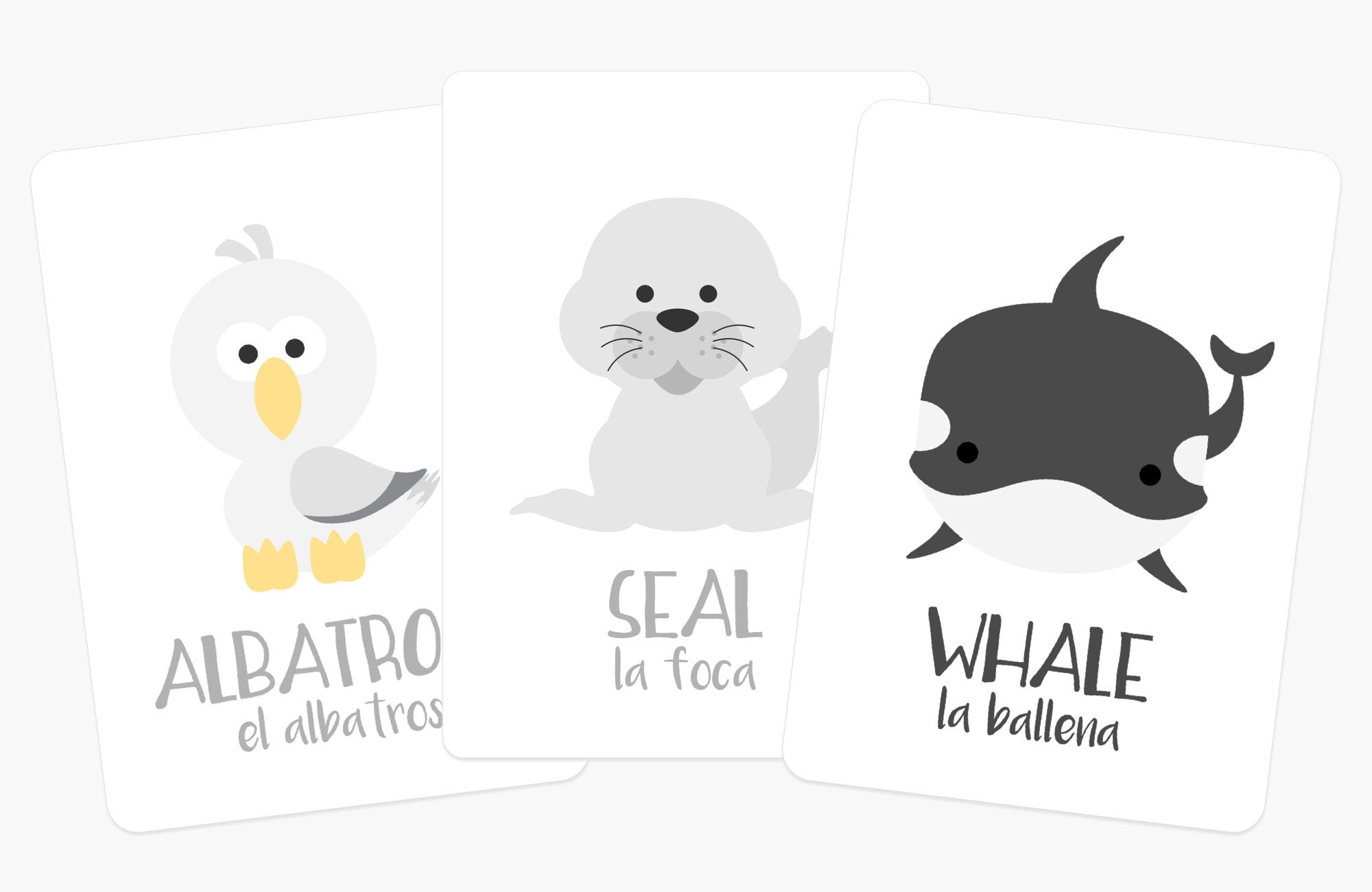 arctic-animals-flashcards-Gift-Baby-Toys-6