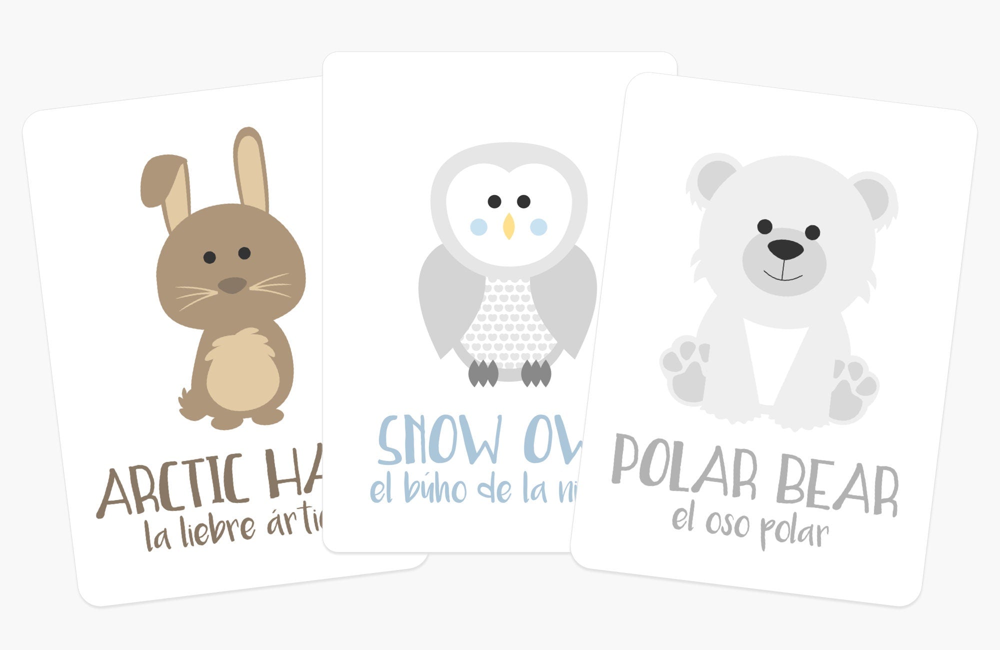 arctic-animals-flashcards-Gift-Baby-Toys-7